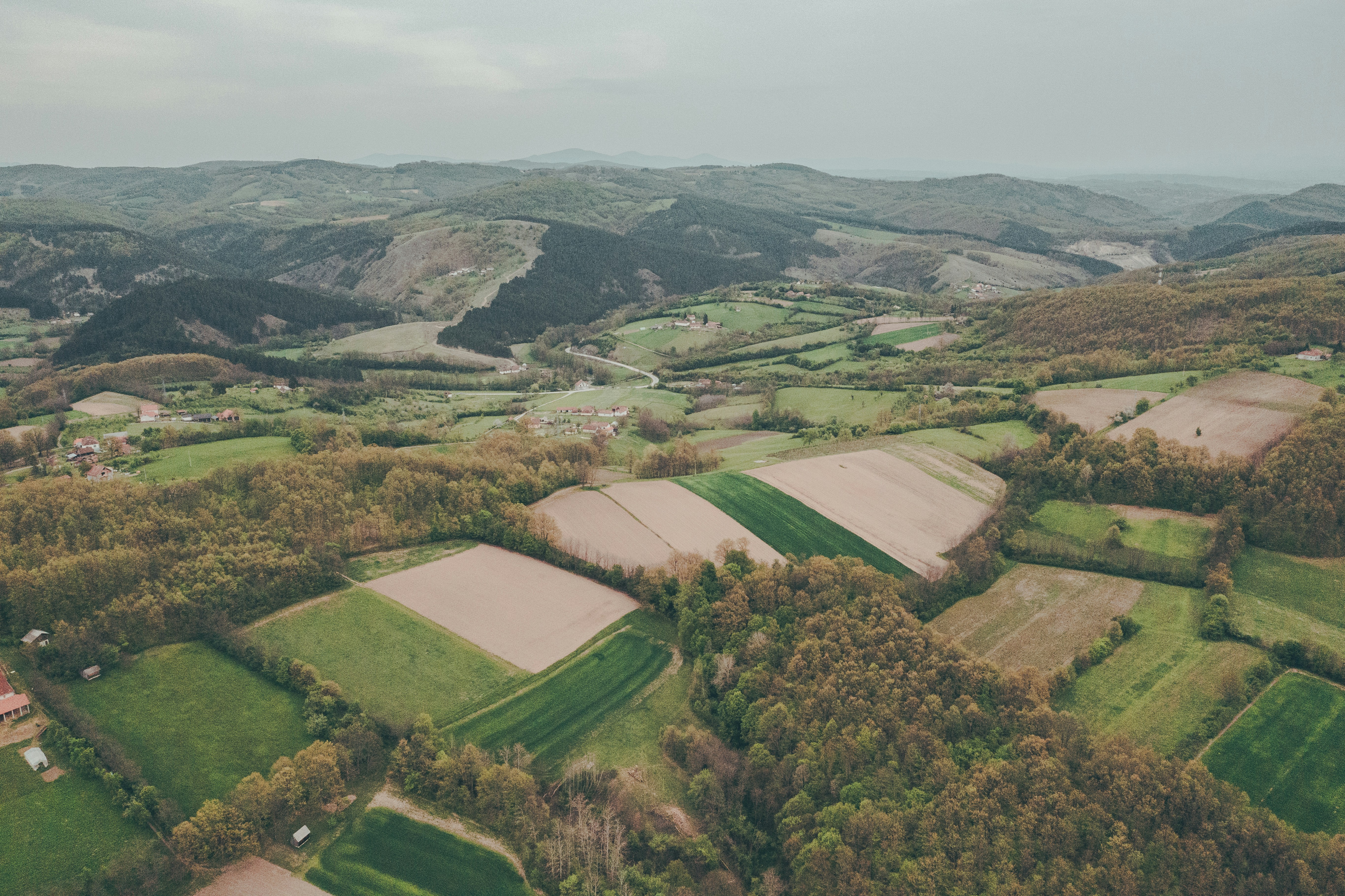 Photo by milica_spasojevic