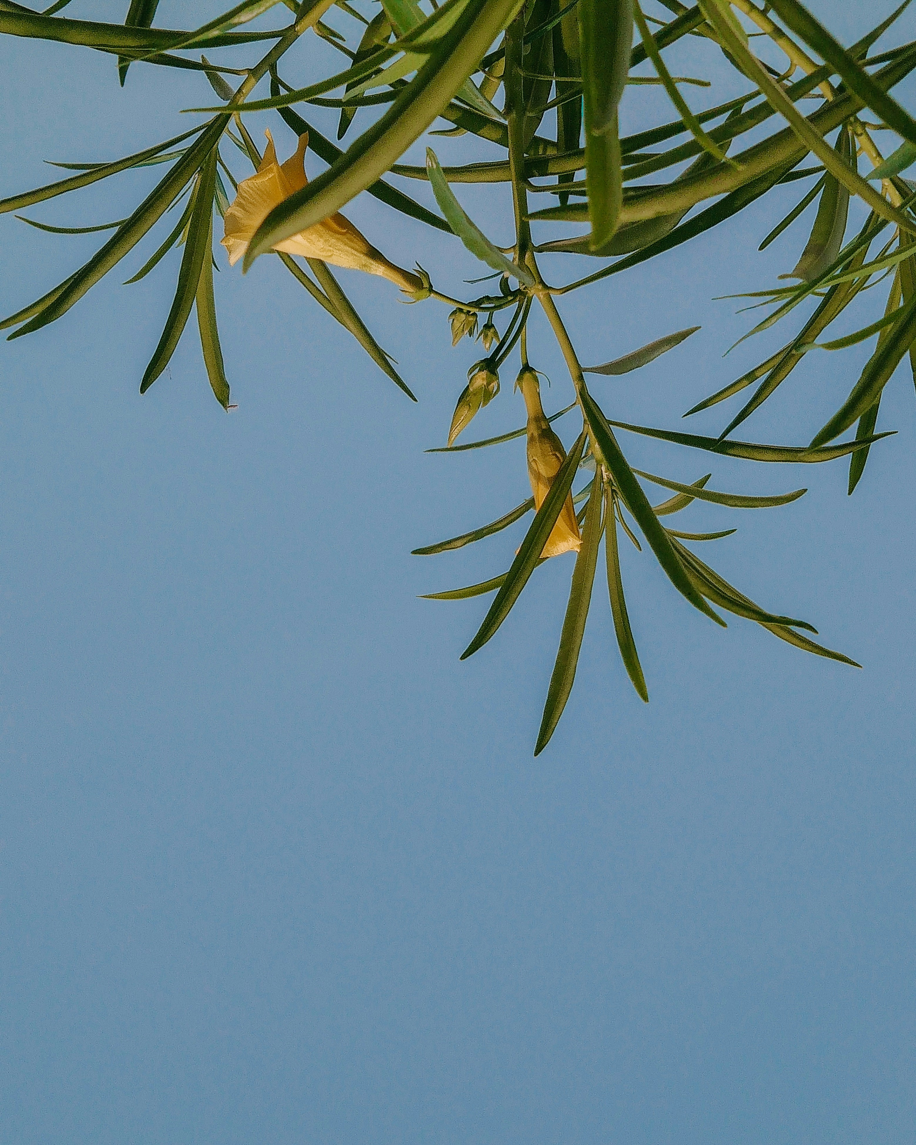 Photo by justcapturingit