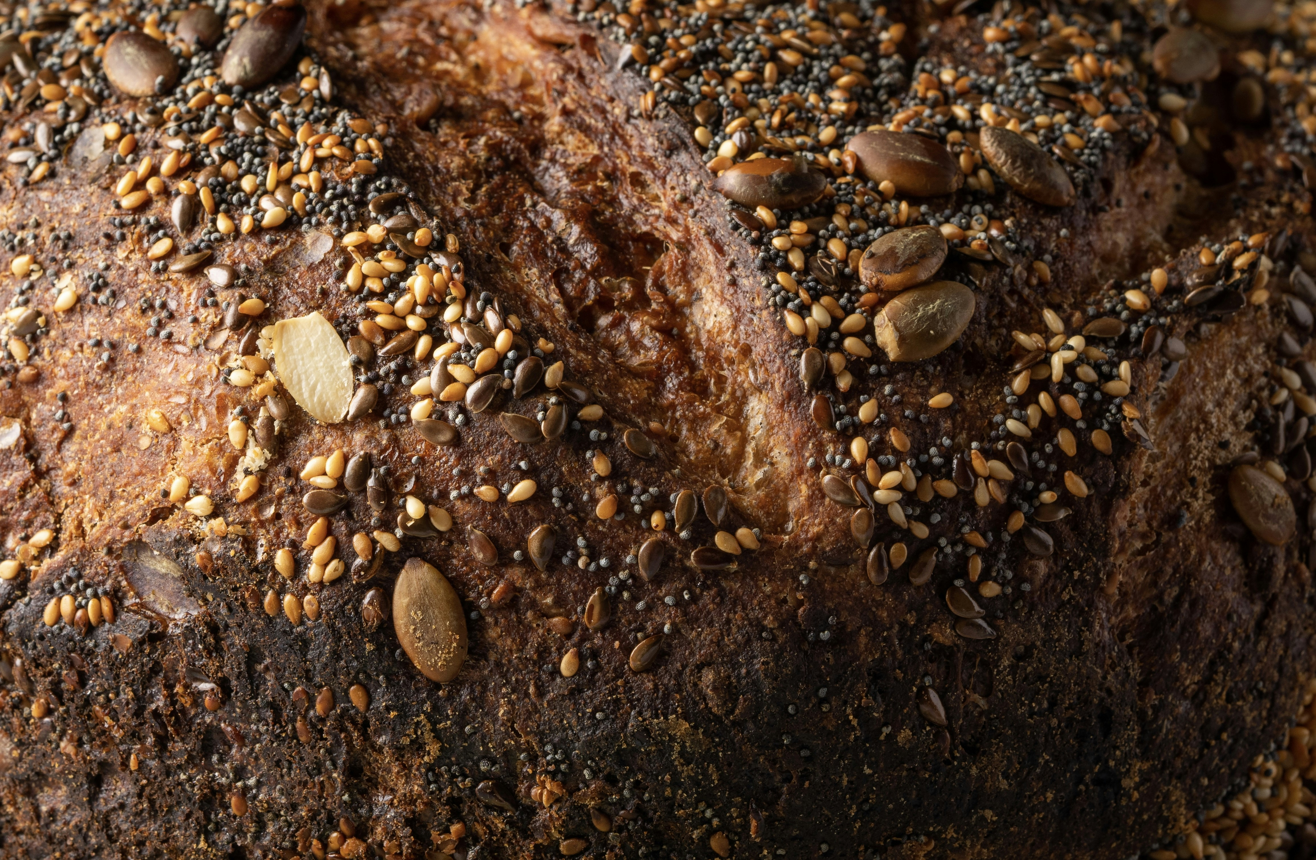 Photo by skylerewing