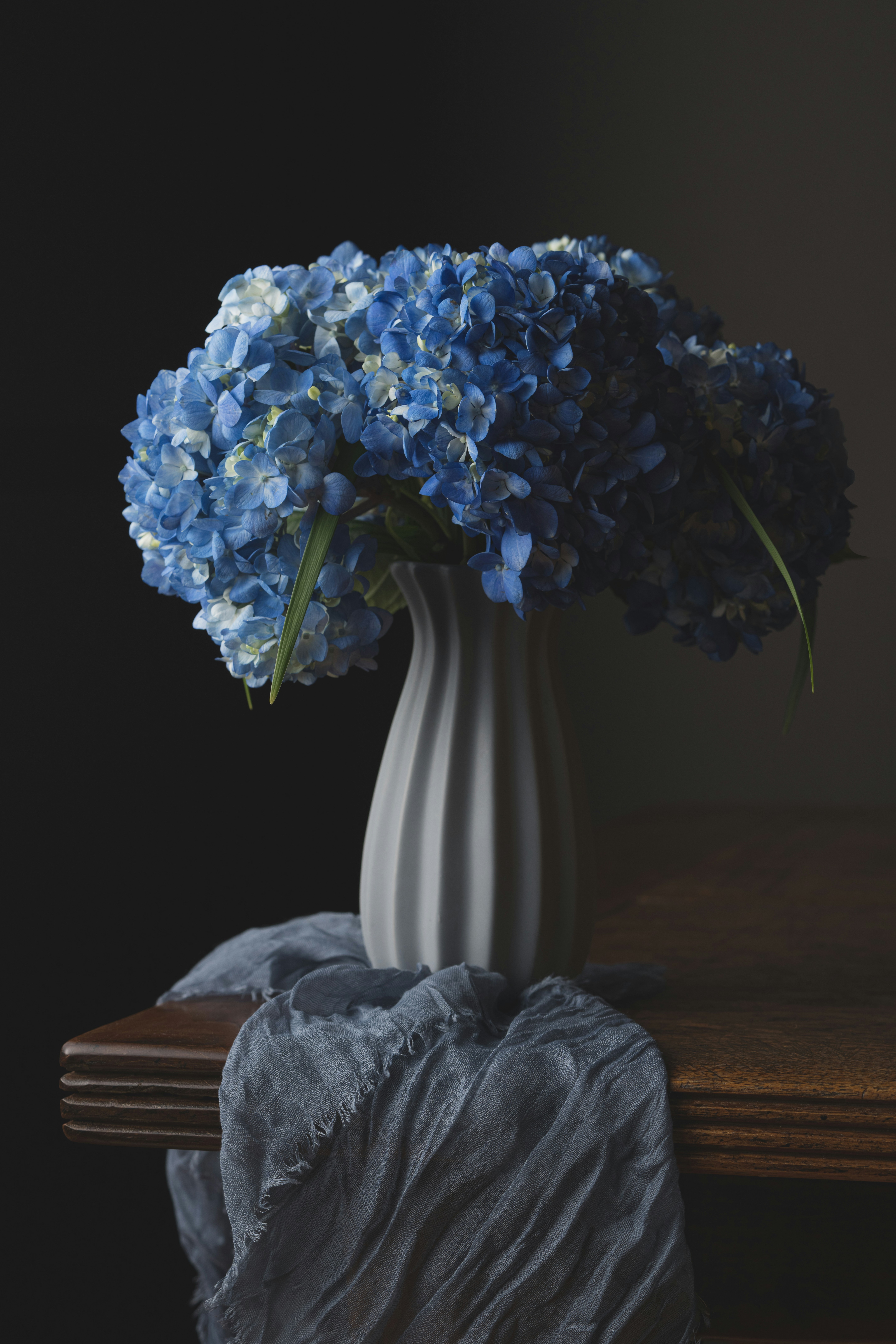 Preserved Hydrangea Flowers in Glass Vase