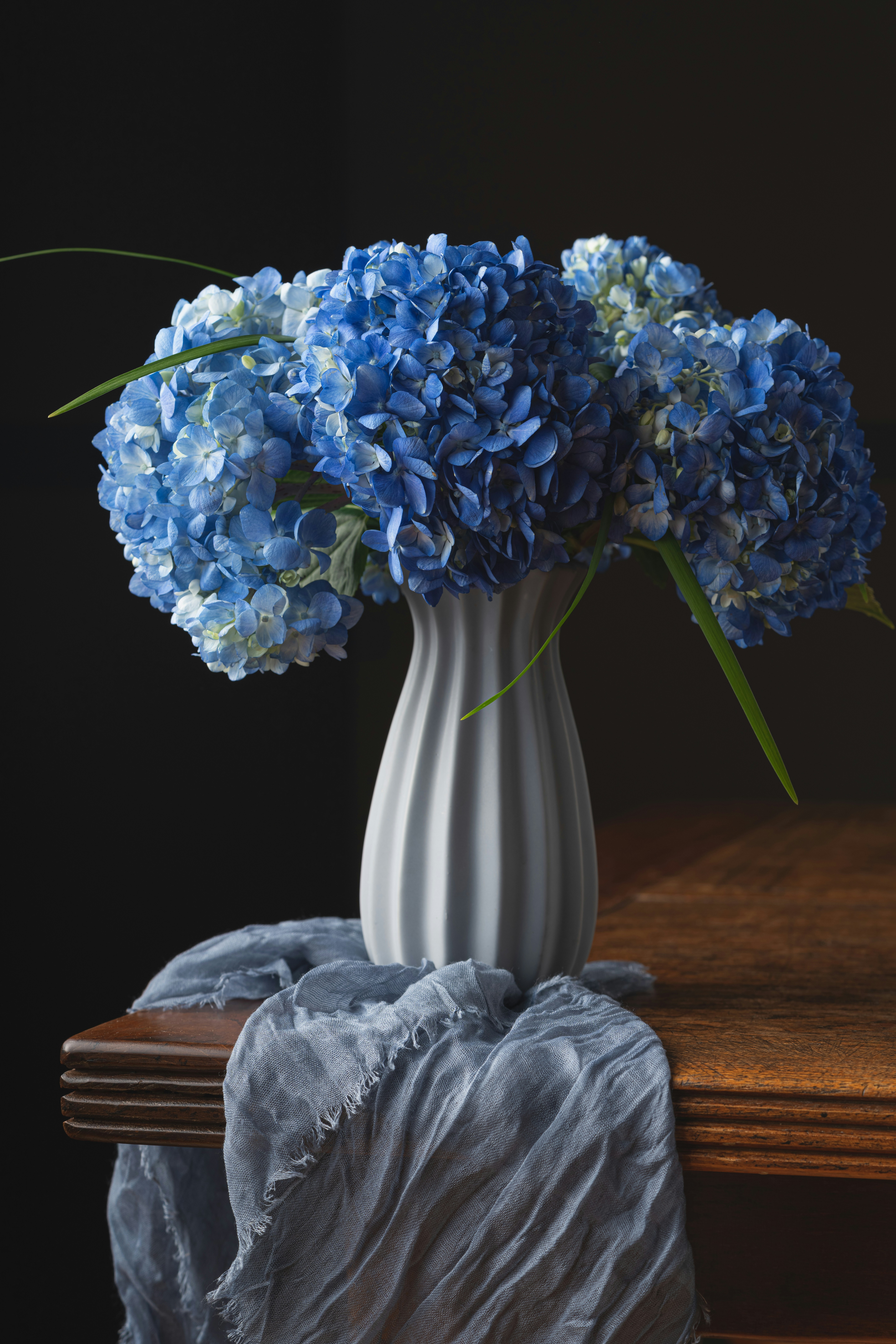 A vase with blue flowers photo – Free Blue Image on Unsplash