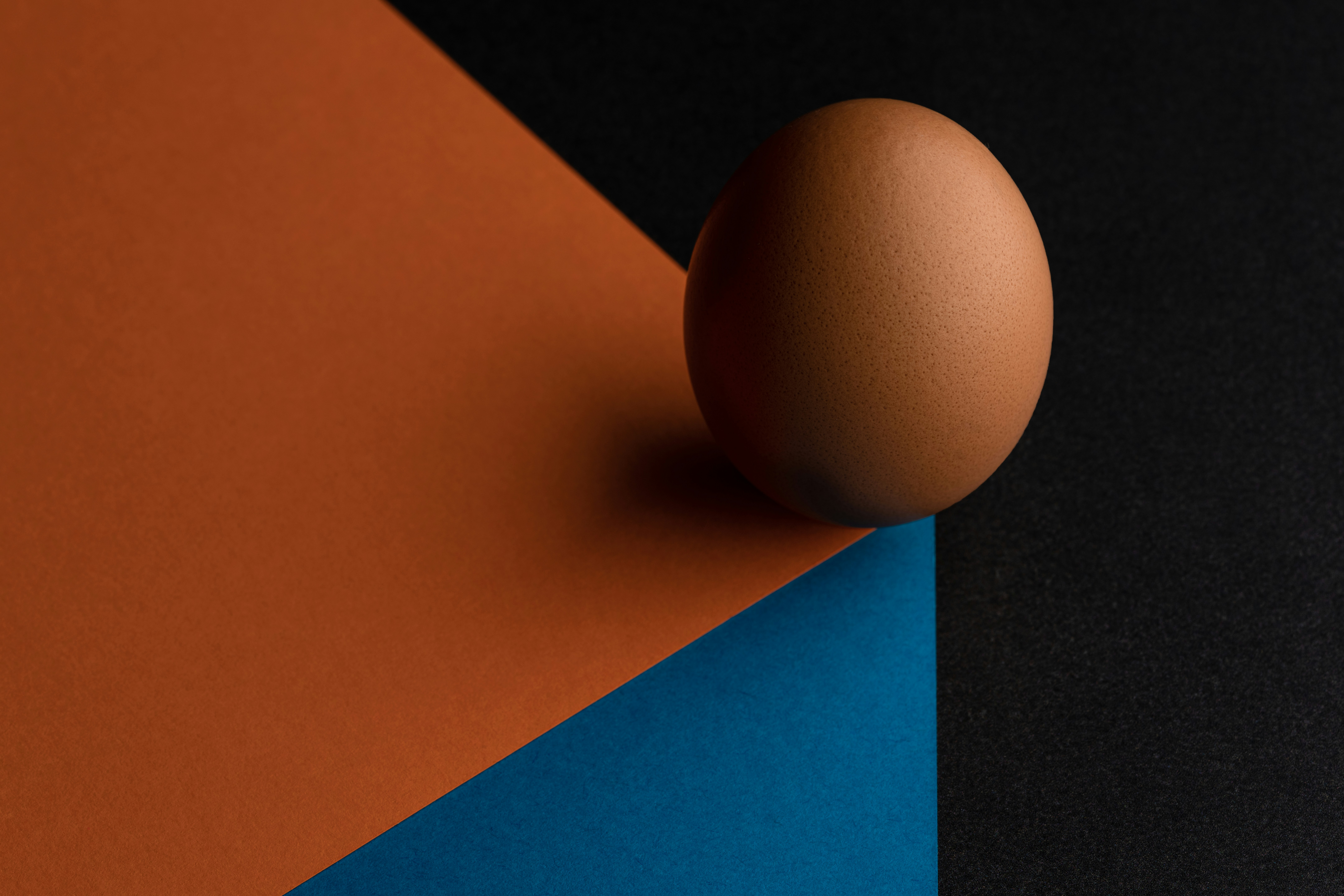 Photo by skylerewing