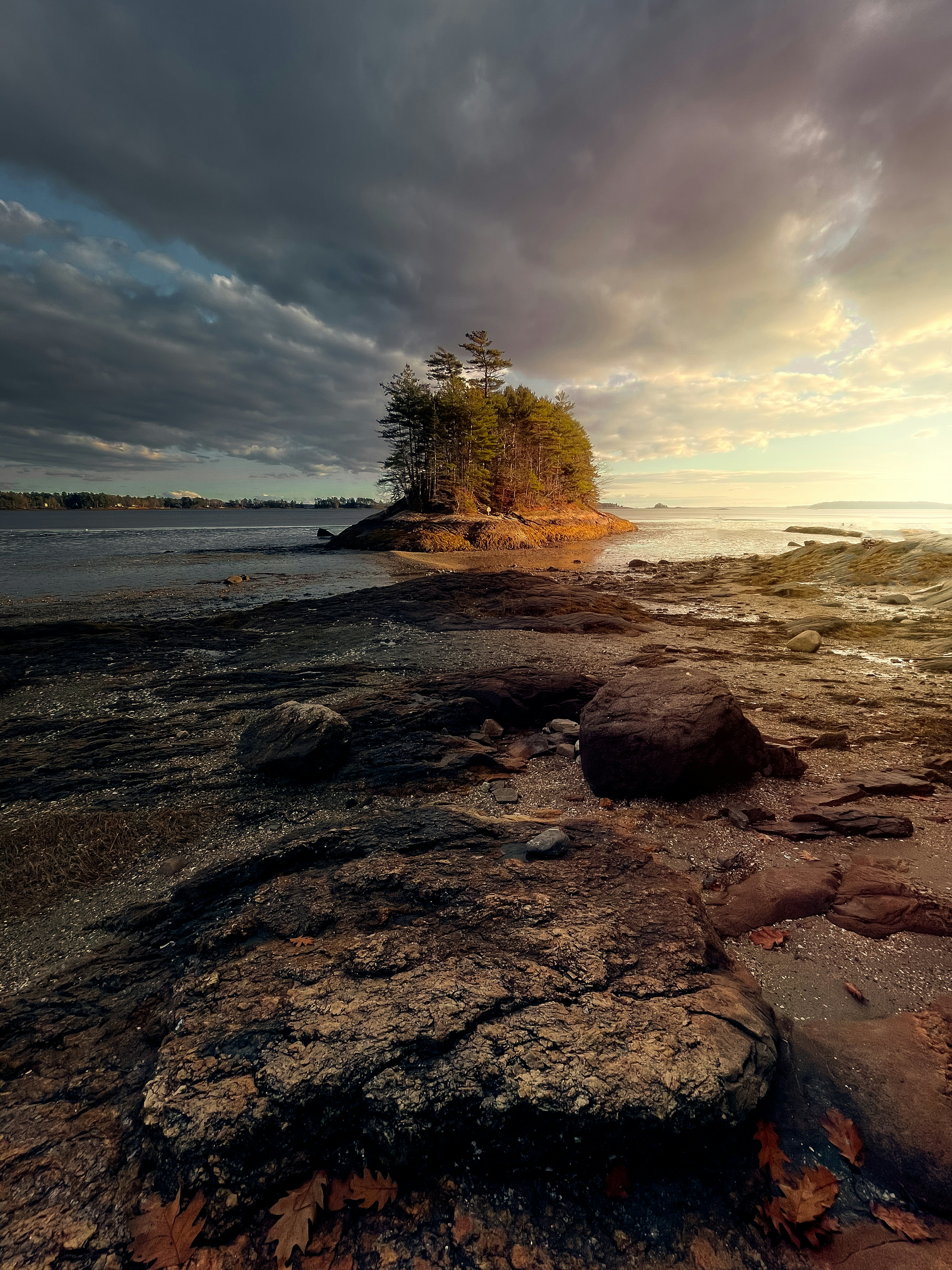 Photo by skylerewing