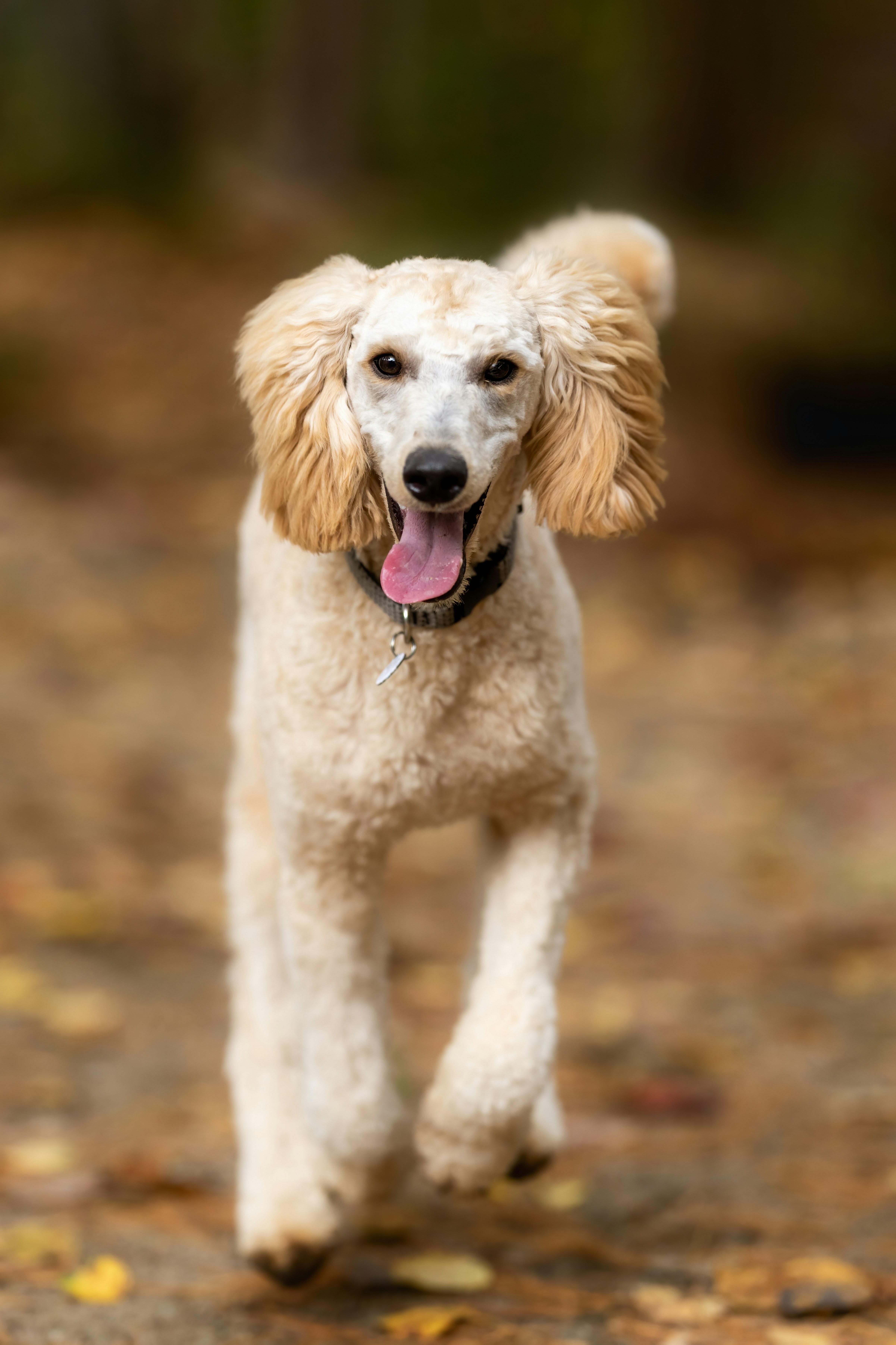 Photo by skylerewing