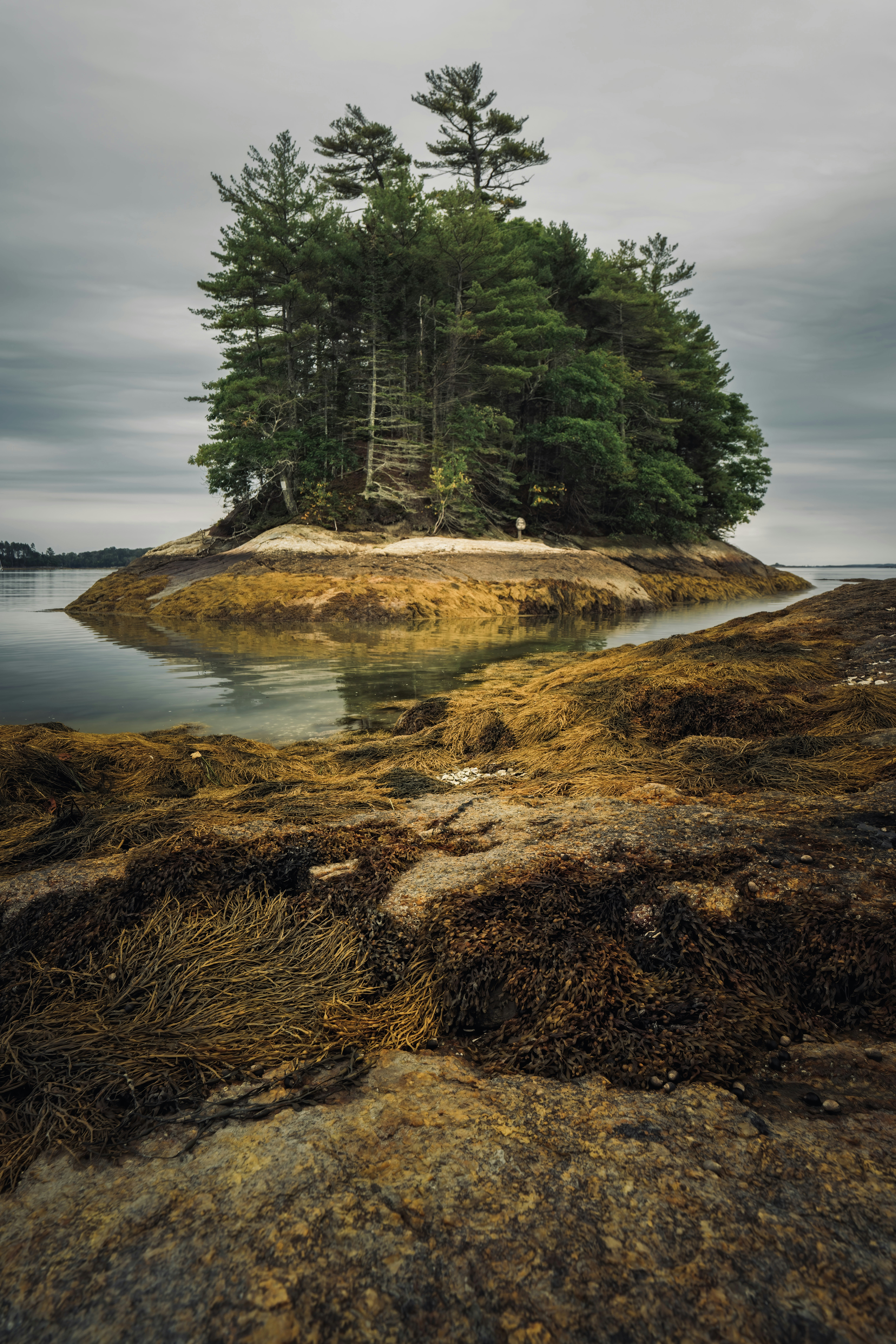 Photo by skylerewing