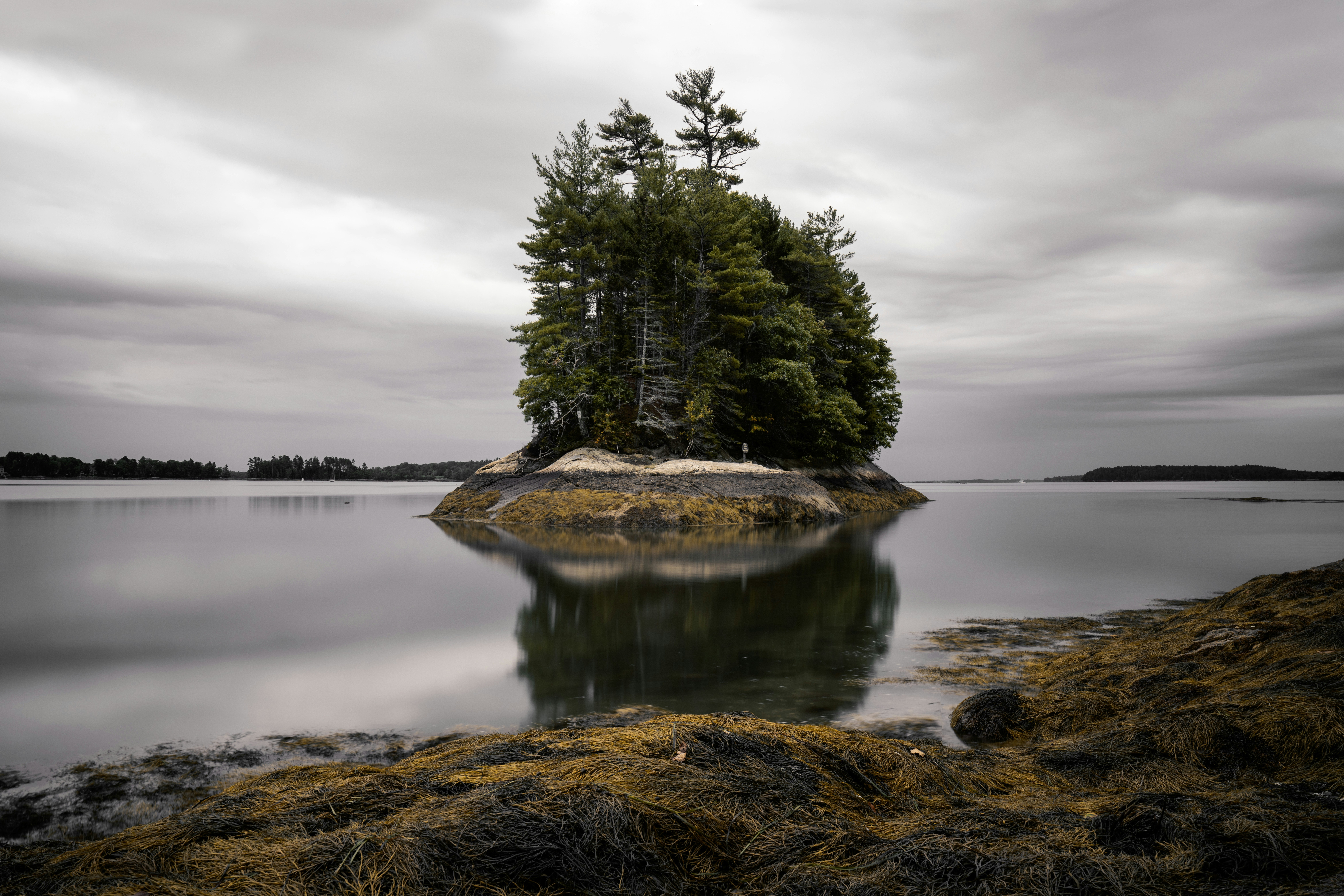 Photo by skylerewing