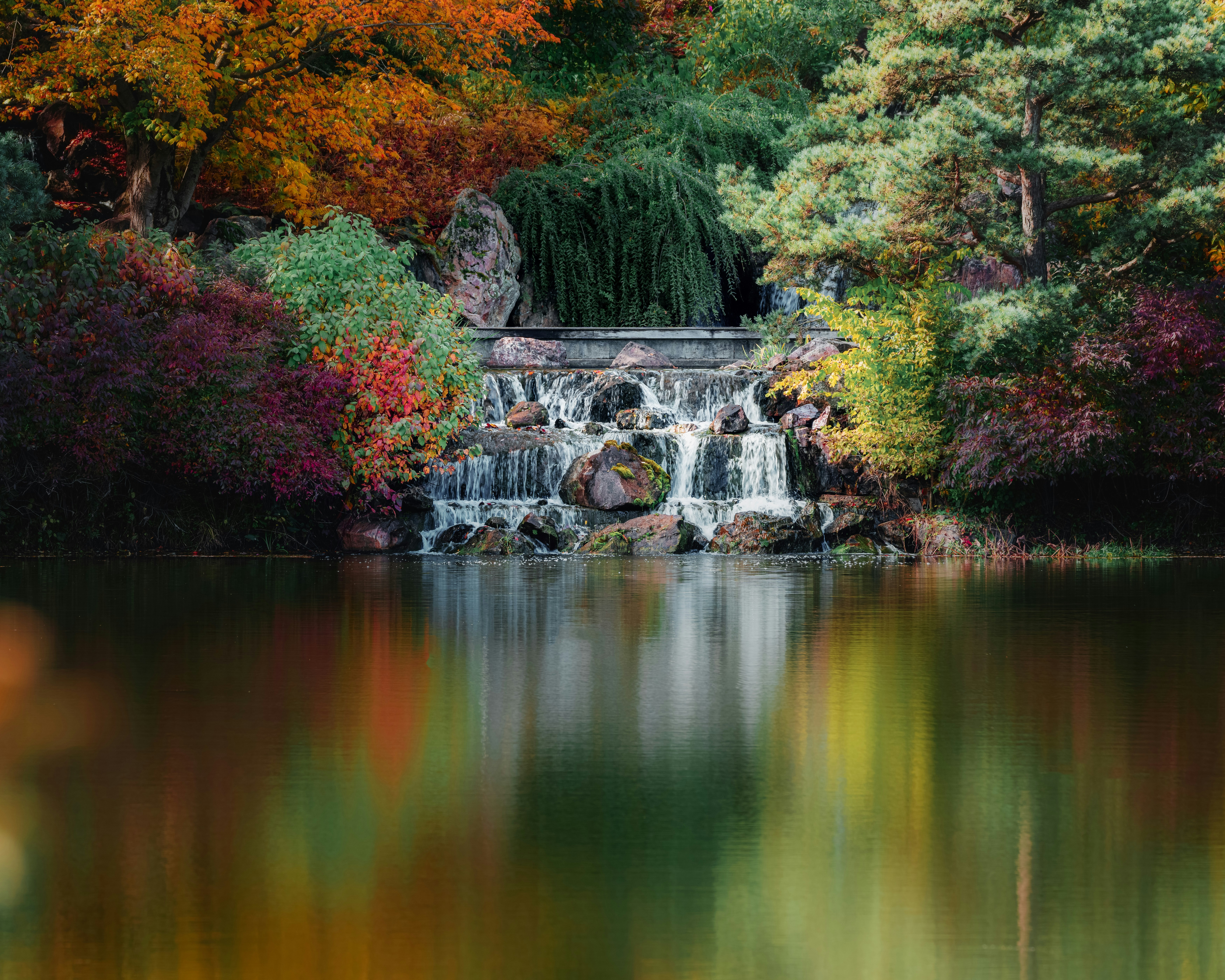 Photo by skylerewing