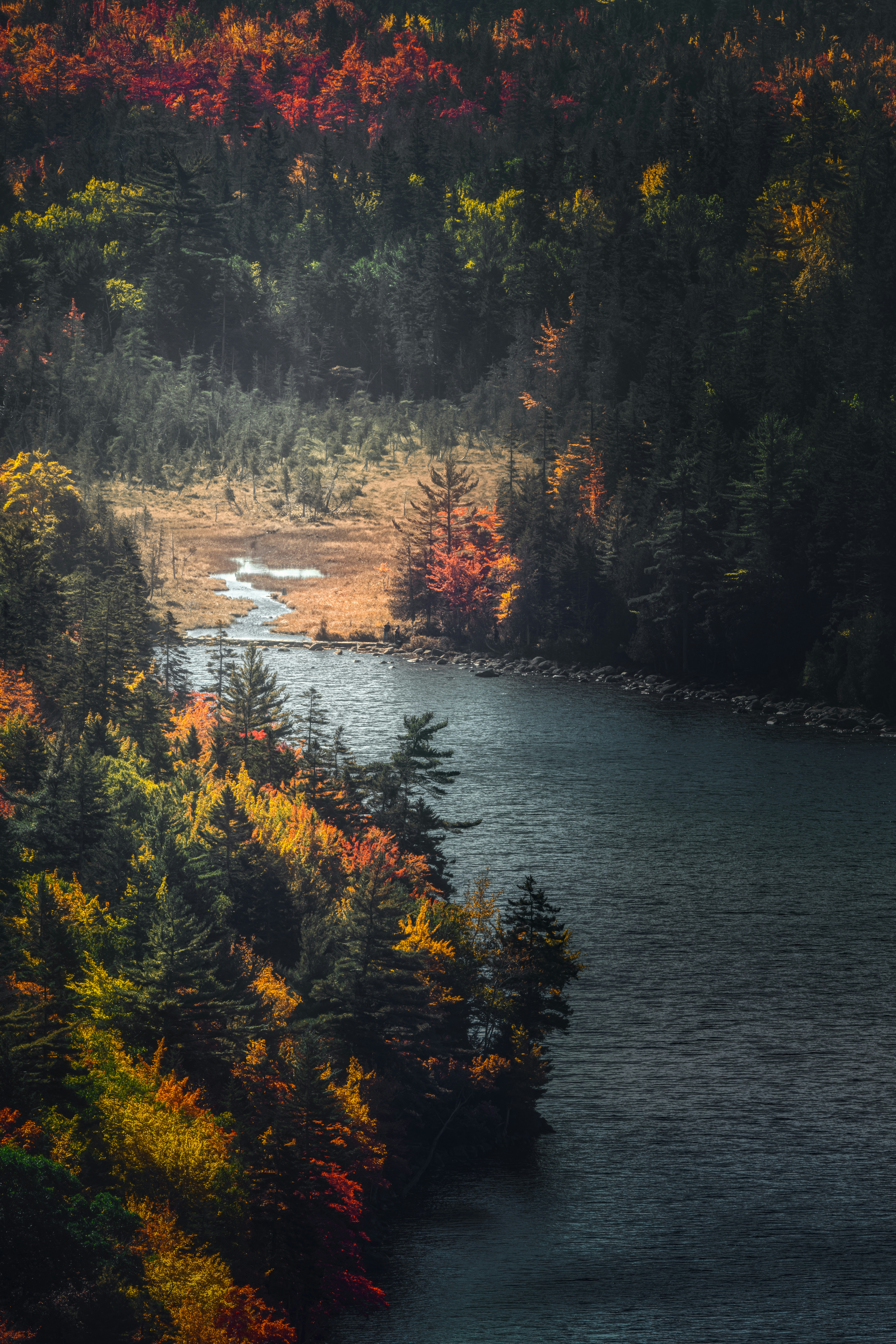 Photo by skylerewing