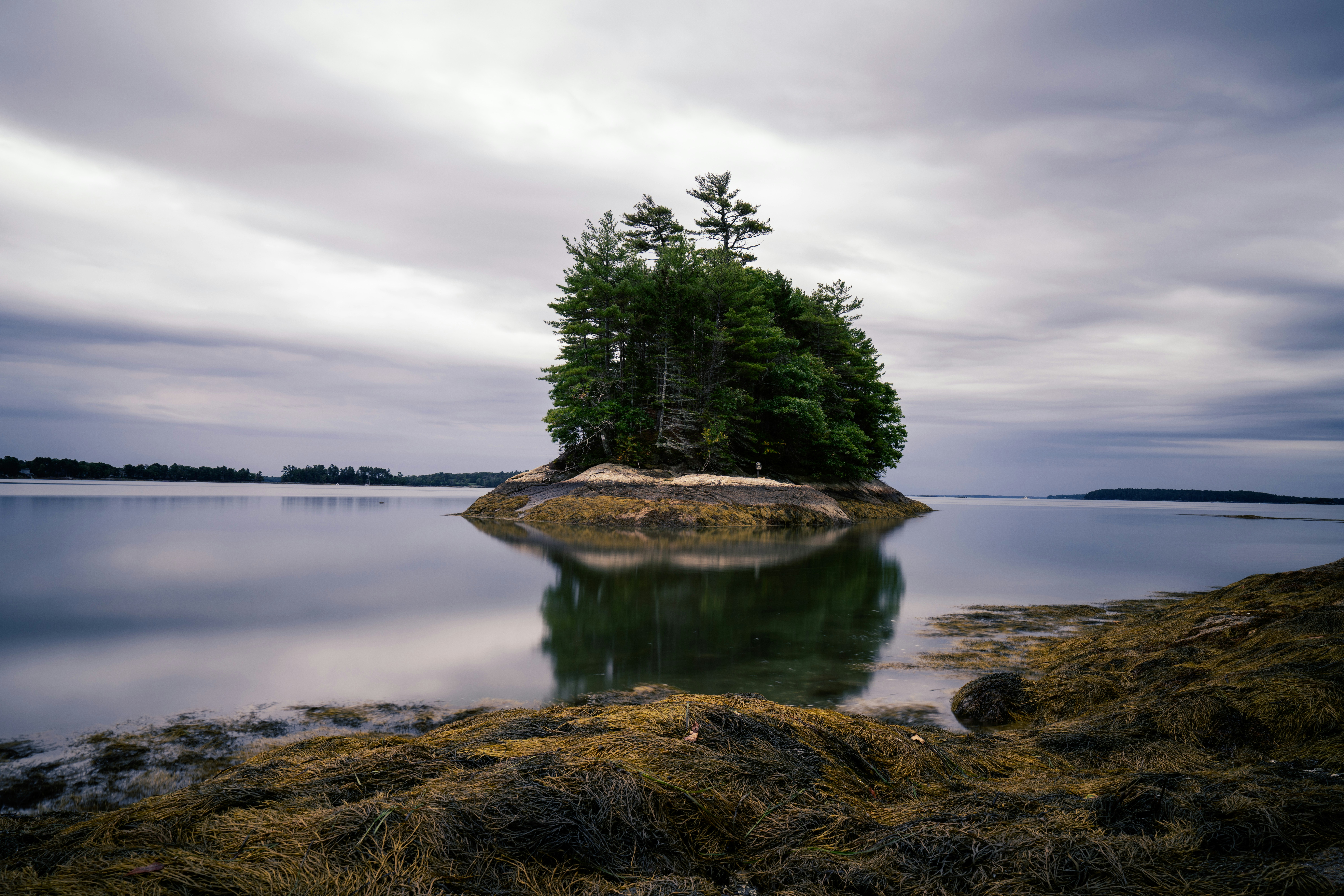 Photo by skylerewing