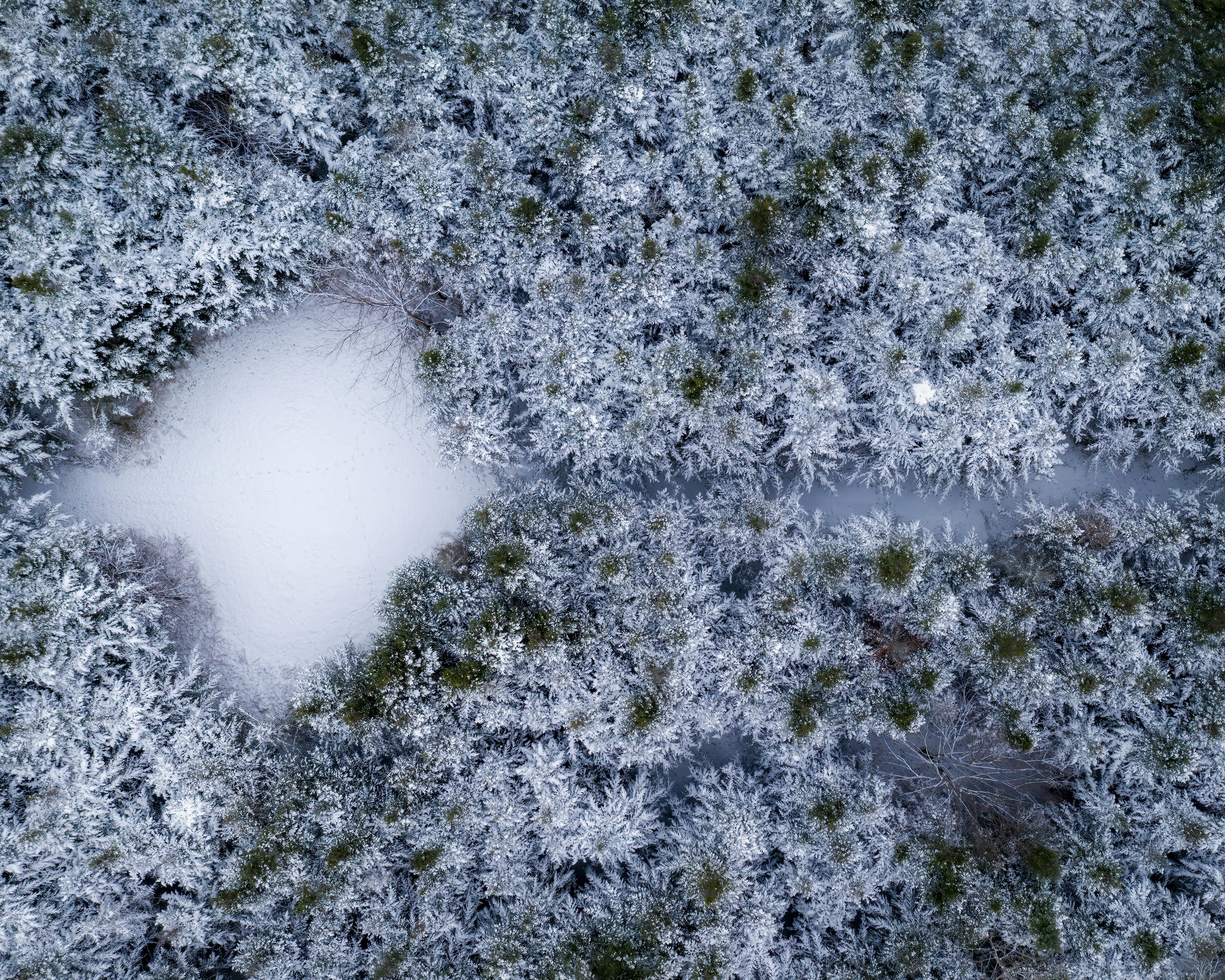 Photo by skylerewing