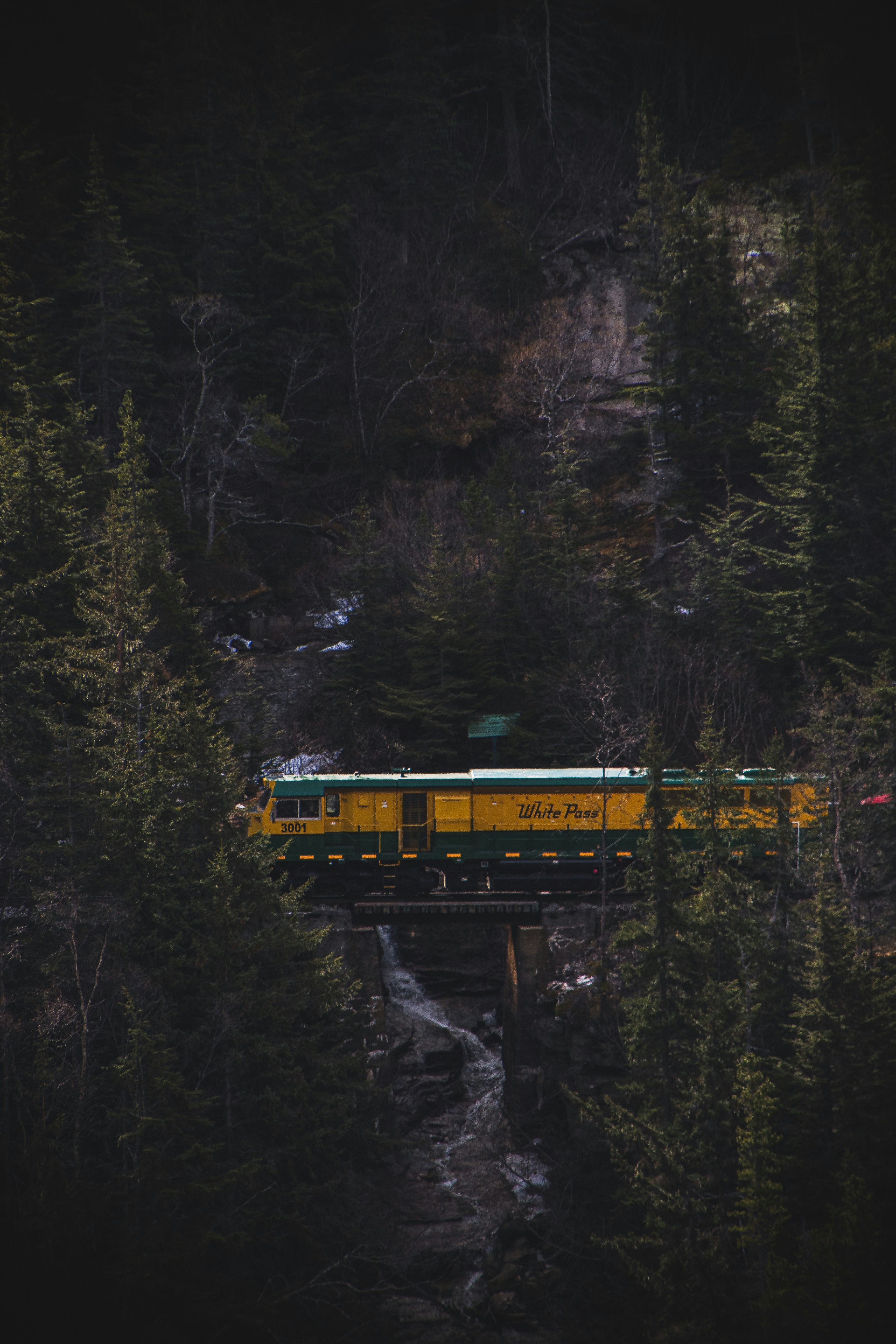 Ein Zug fährt durch einen Wald