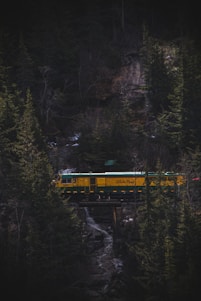 a train going through a forest