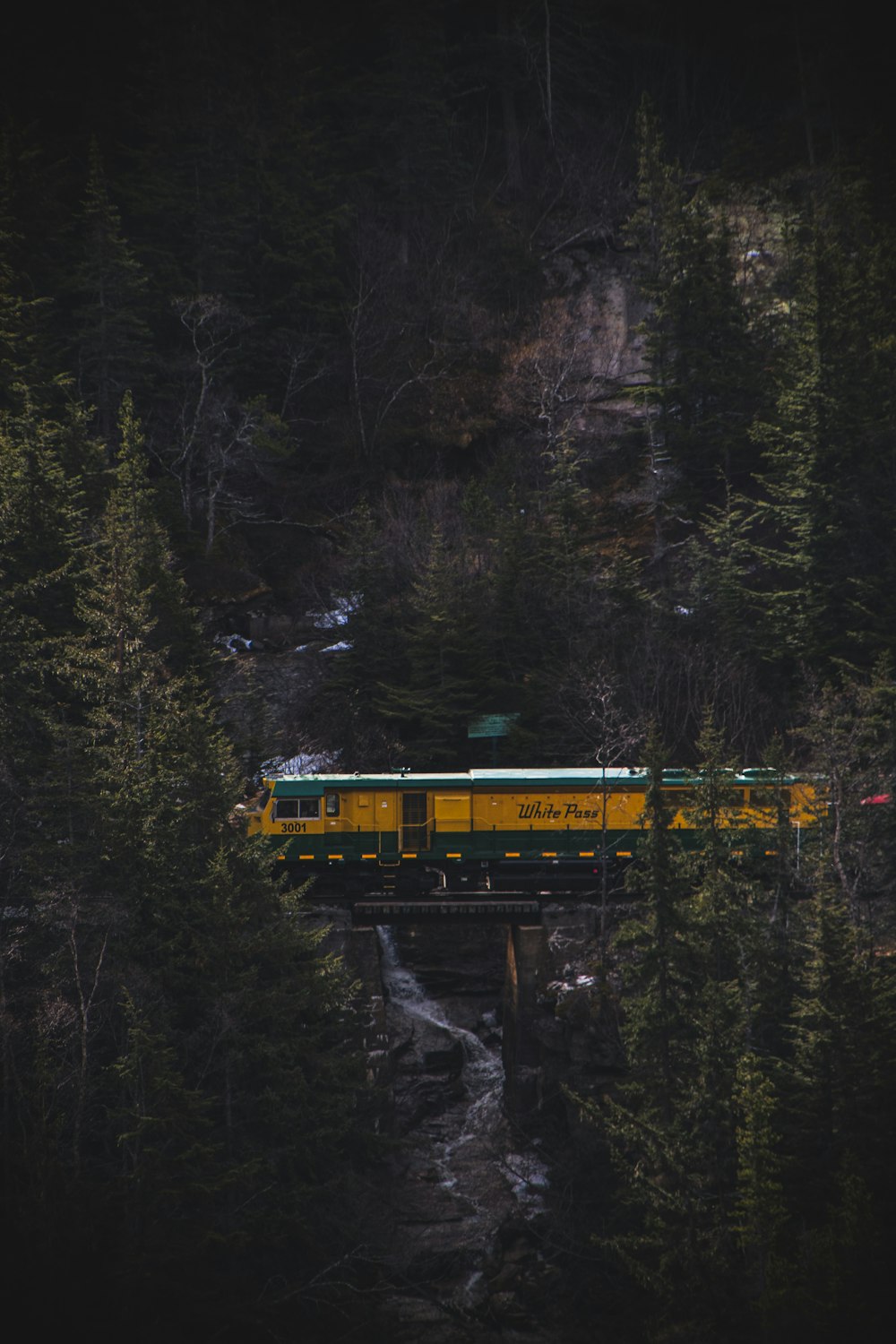 um trem passando por uma floresta