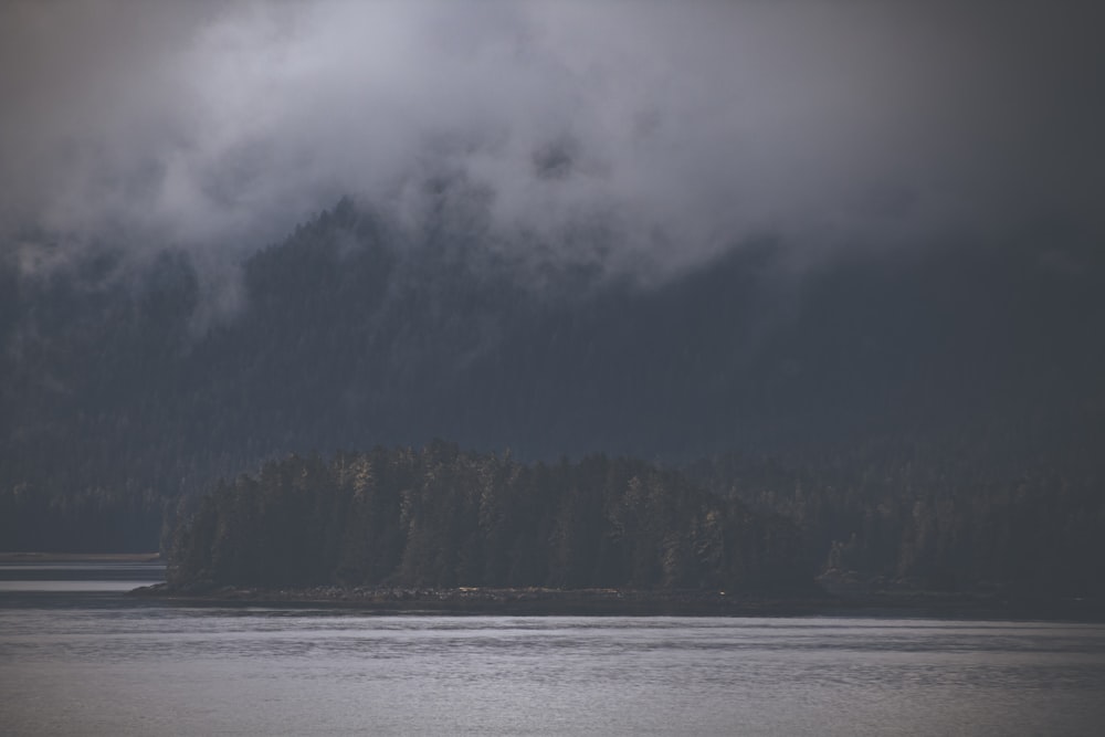 a lake with trees in the background