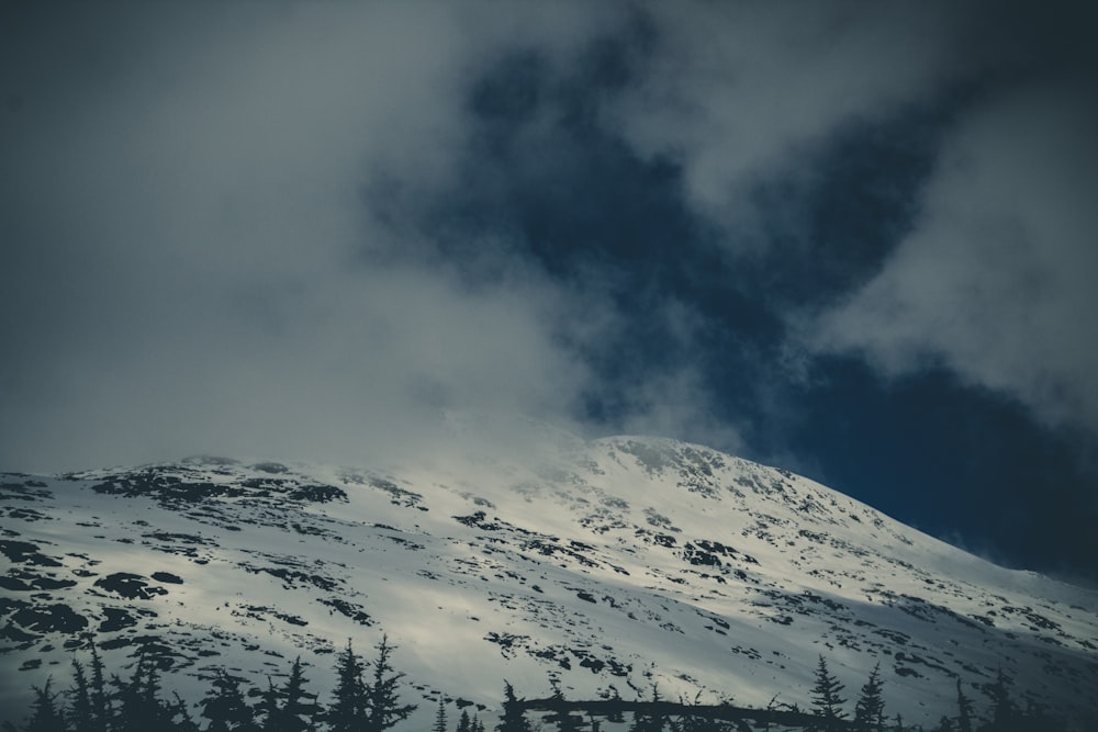 a snowy mountain with trees