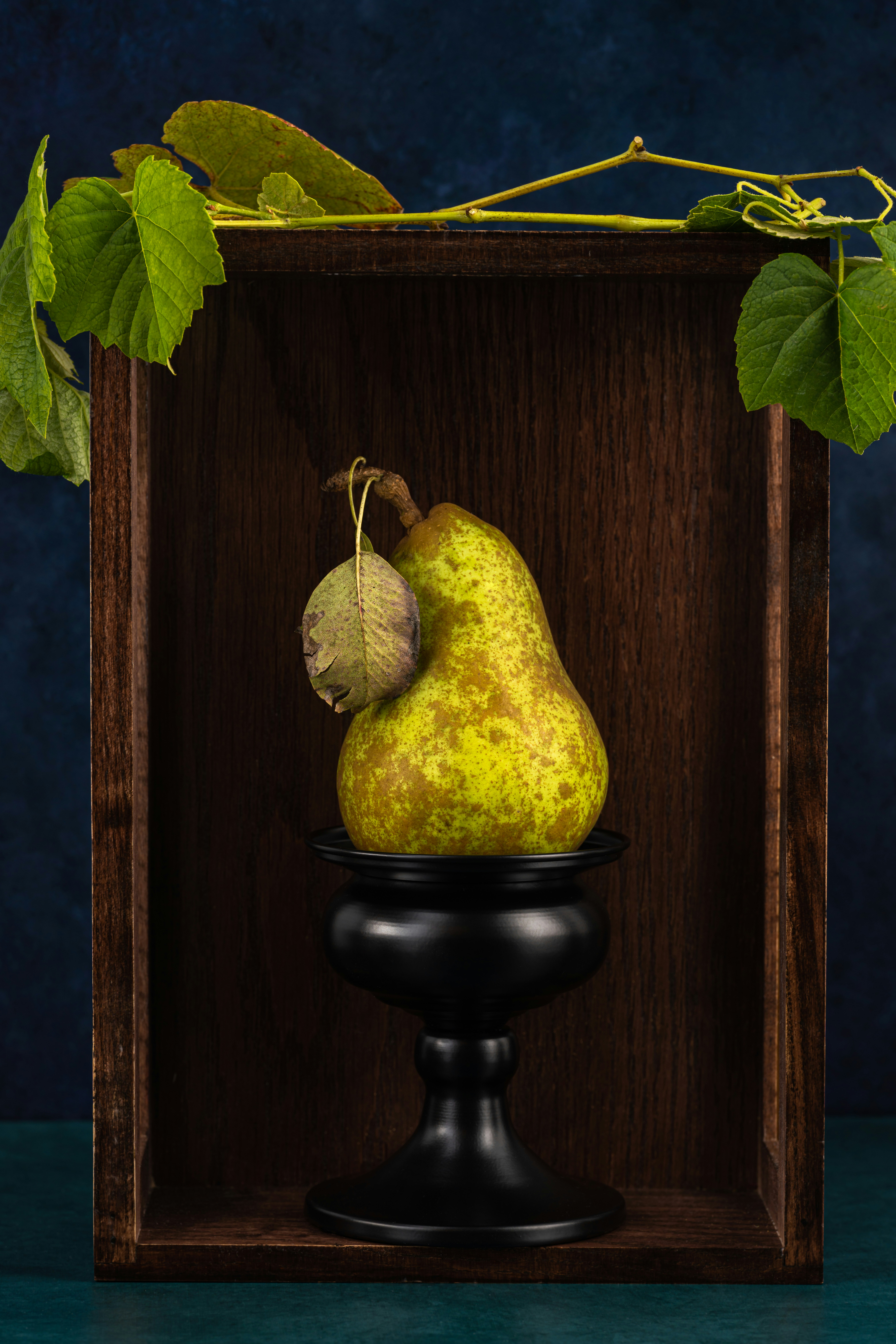 A painting of a pear and a pear on a black stand photo – Free Plant ...