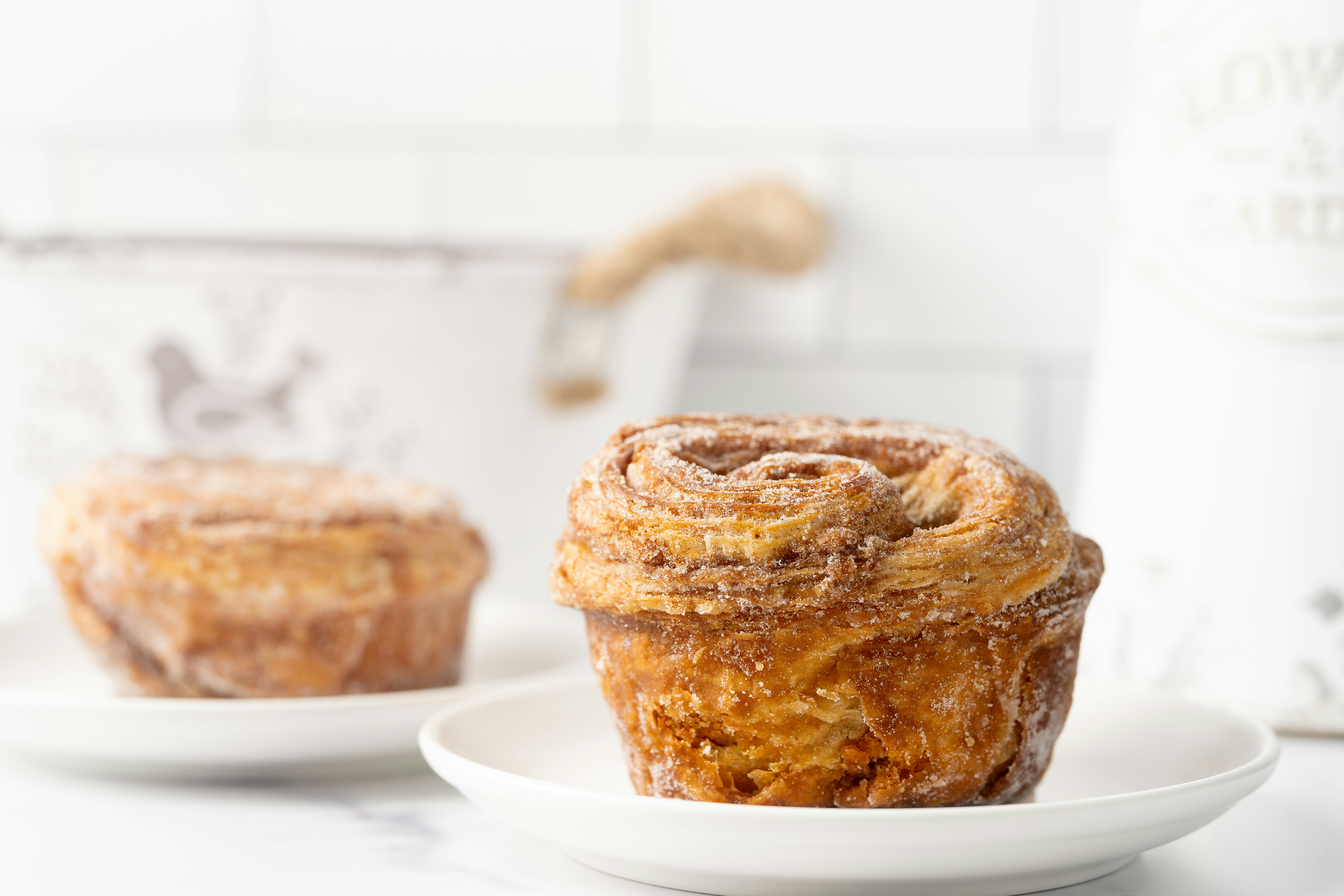 Photo by skylerewing