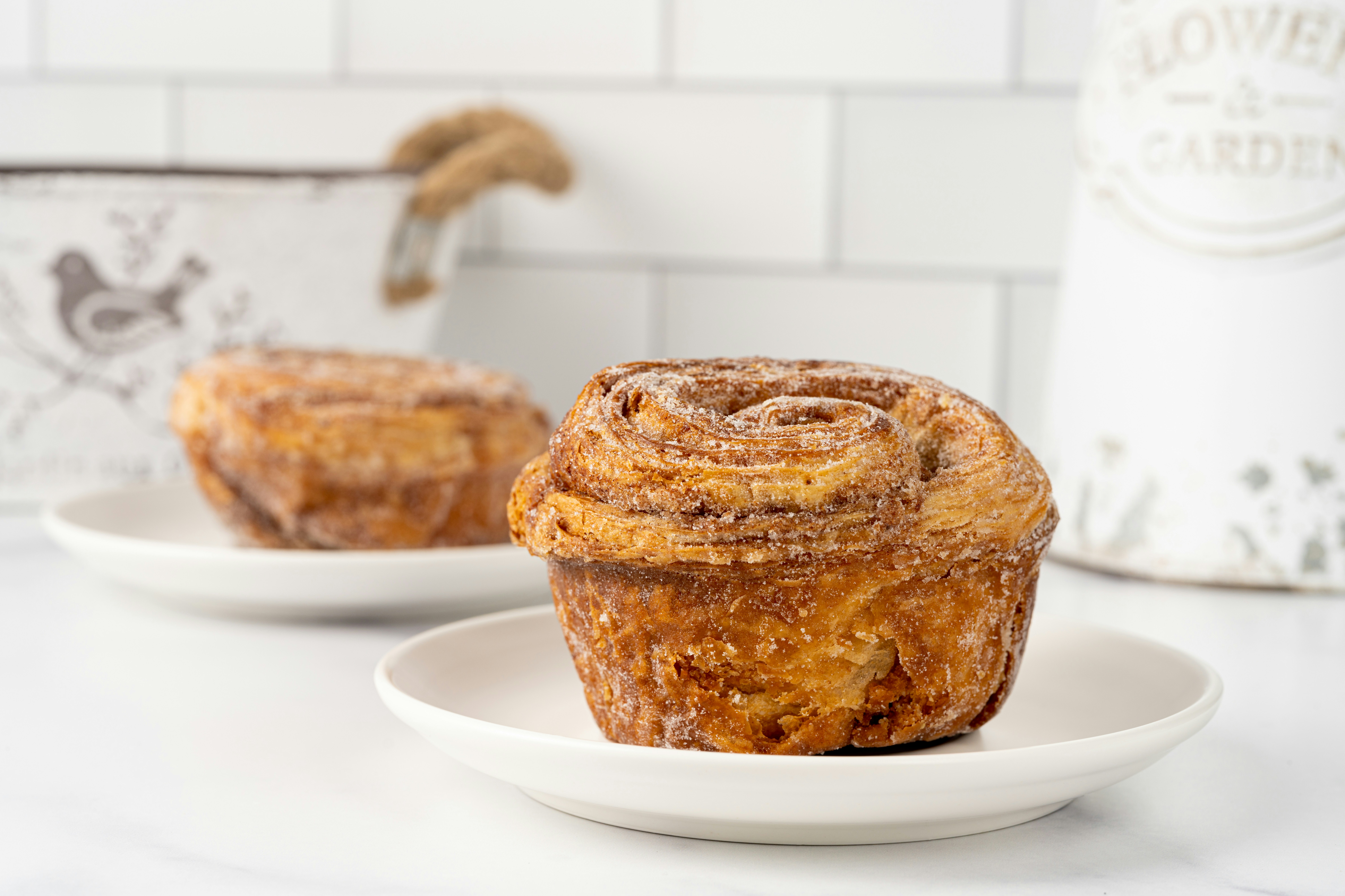 Photo by skylerewing