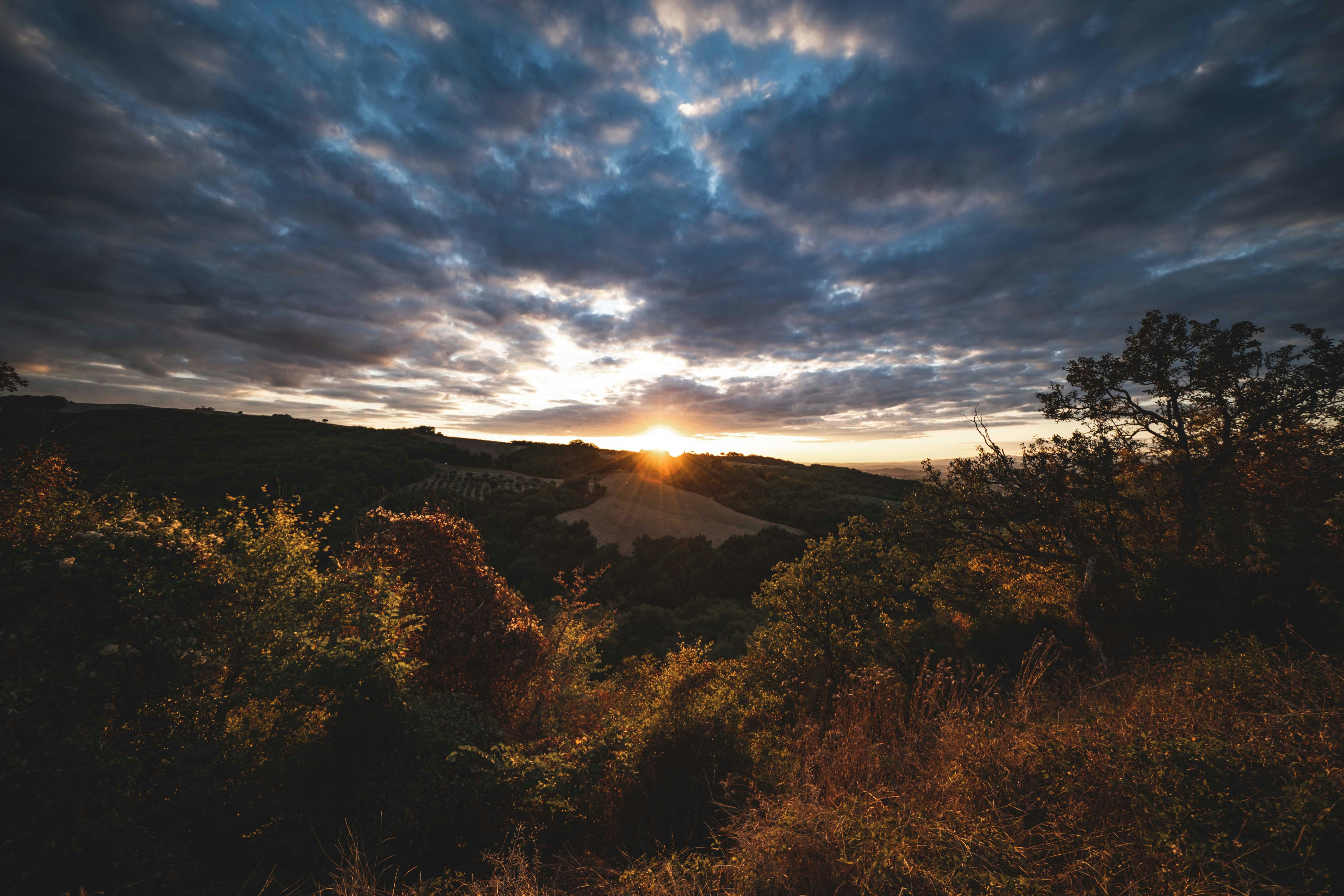 Photo by francesco_ungaro