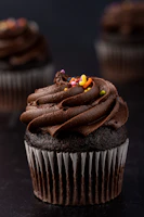 a cupcake with chocolate frosting and candy on top