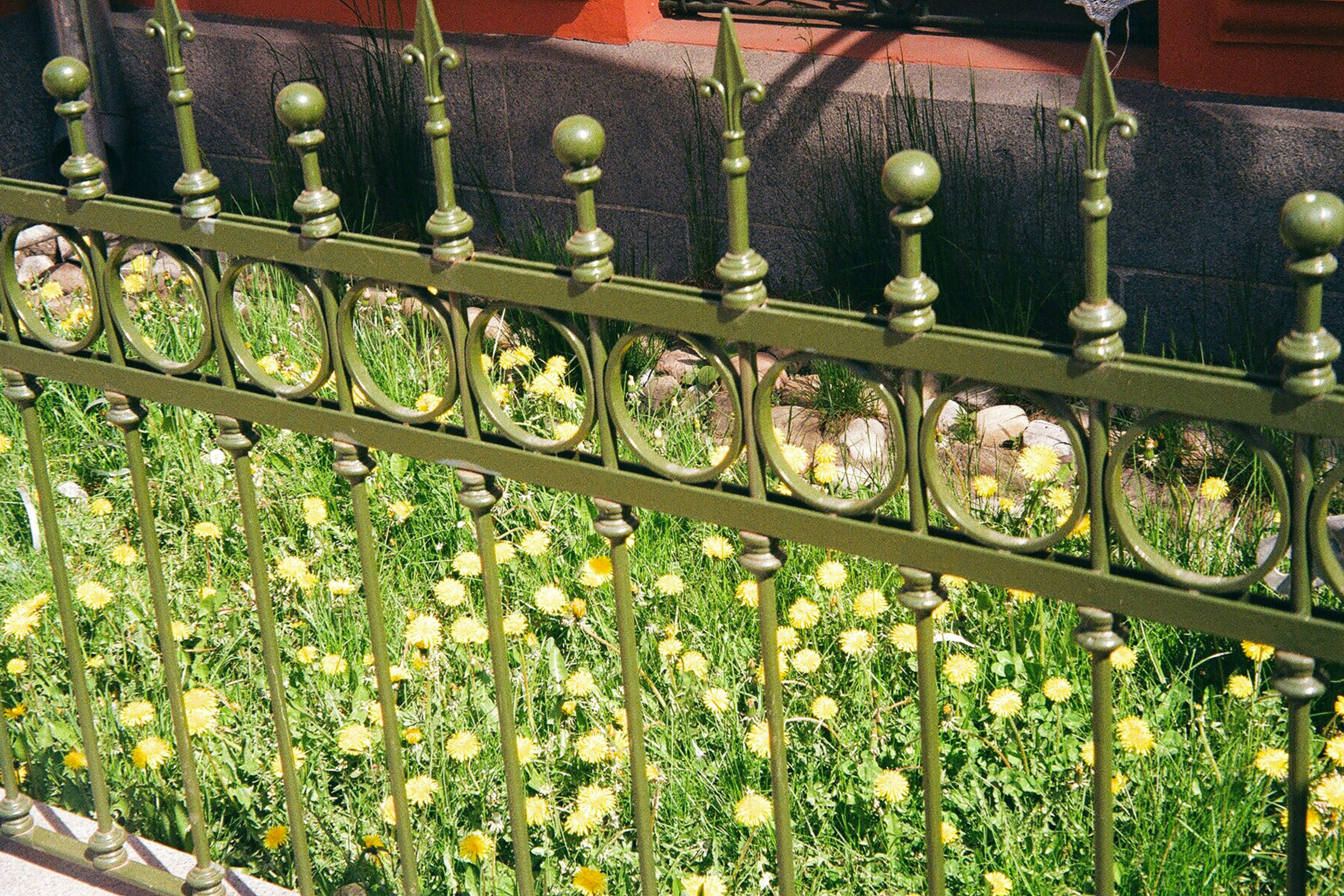 Jardin coloré rempli de fleurs épanouies symbolisant la beauté des saisons douces à Riga