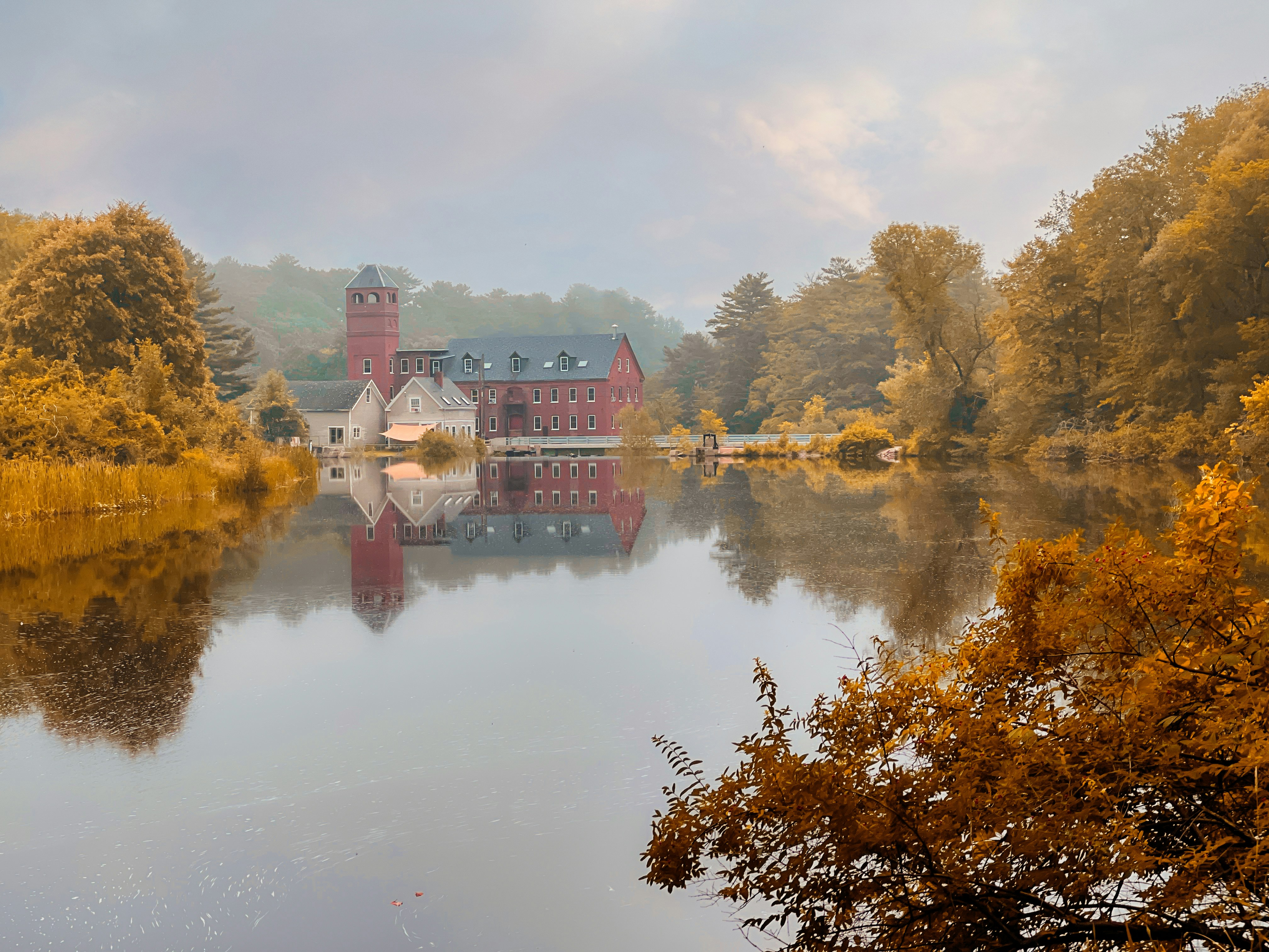 Photo by skylerewing