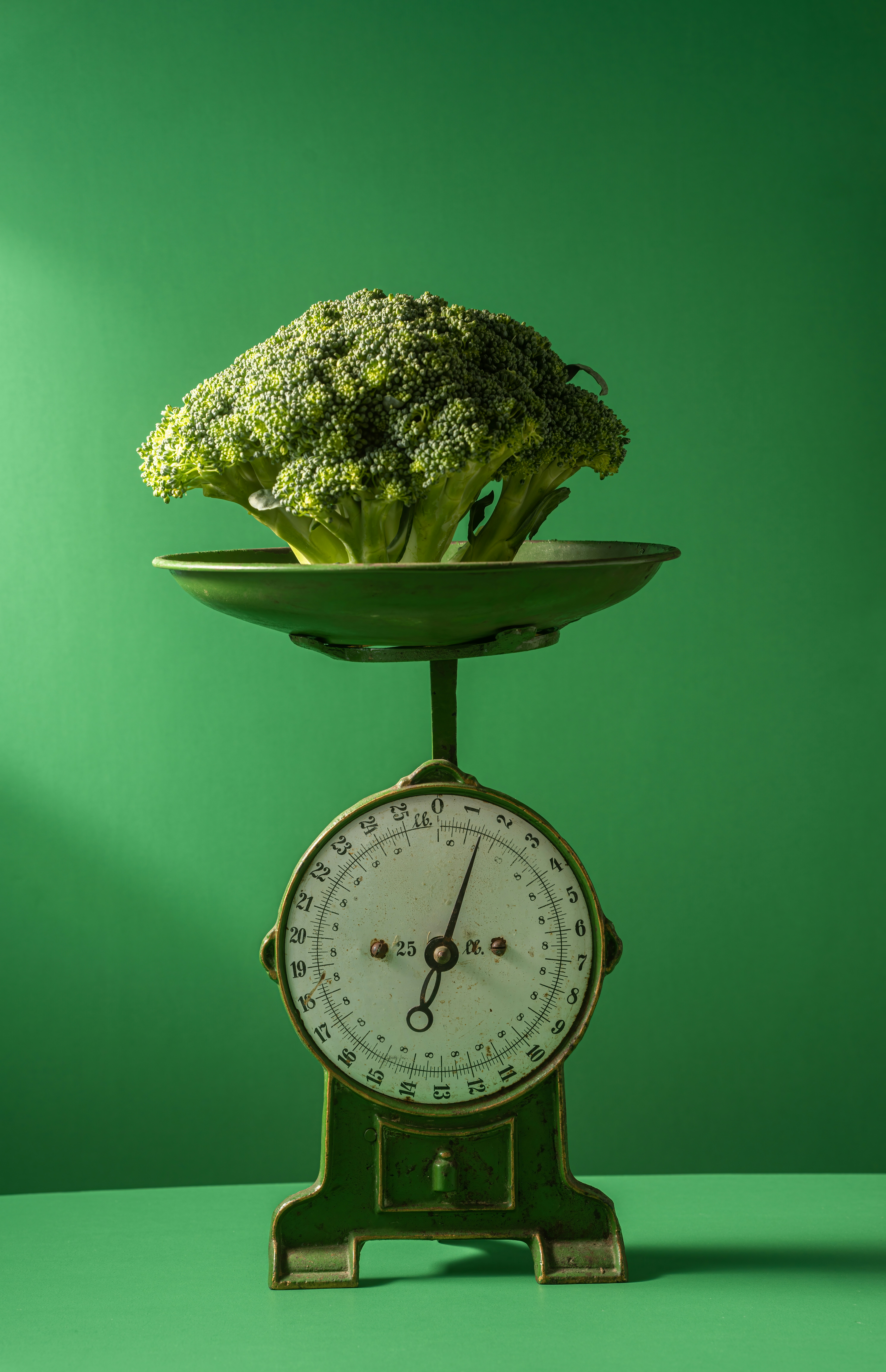 The Truth About Protein Timing: When and How Much You Really Need – a clock with a plant on top