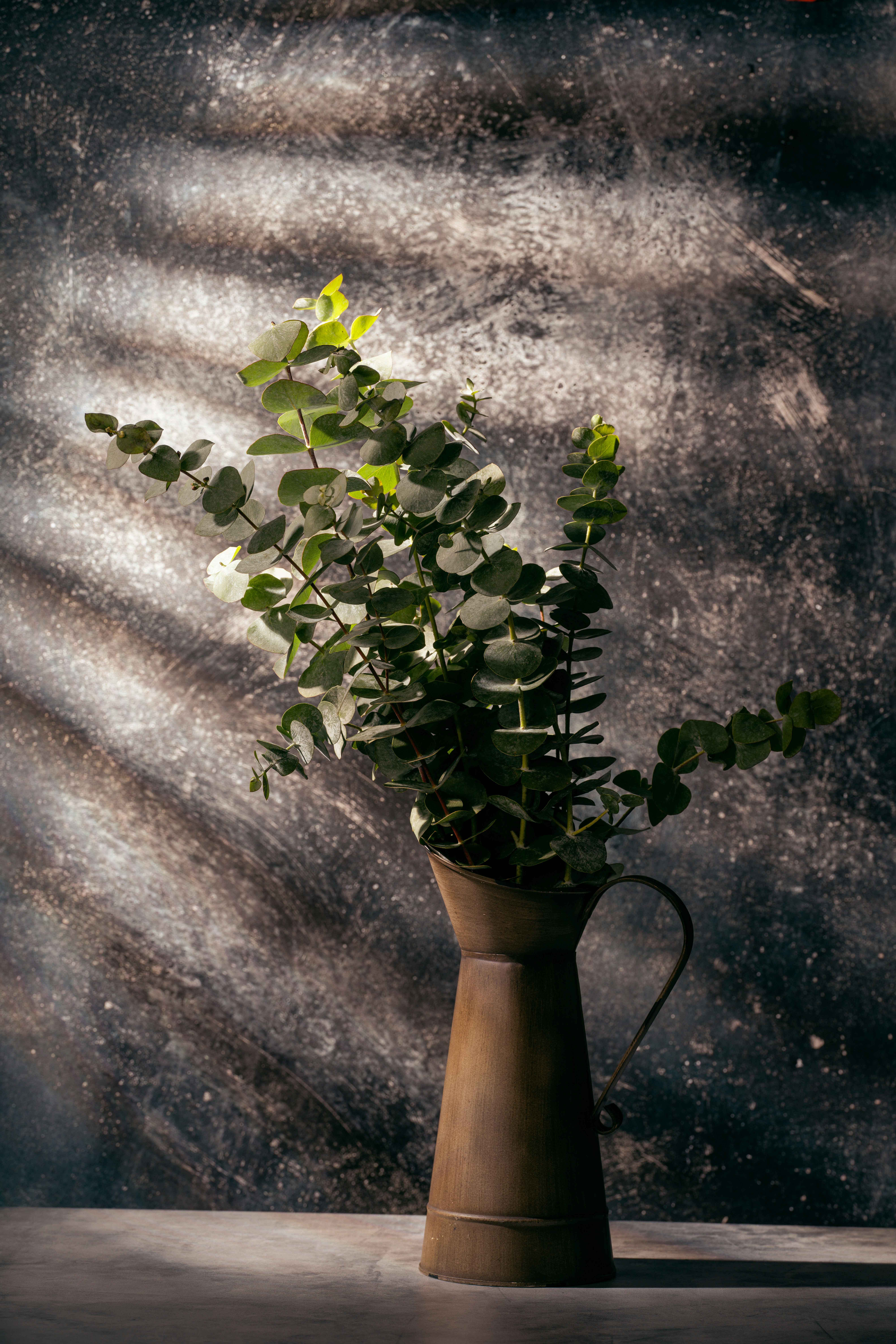 Photo by skylerewing