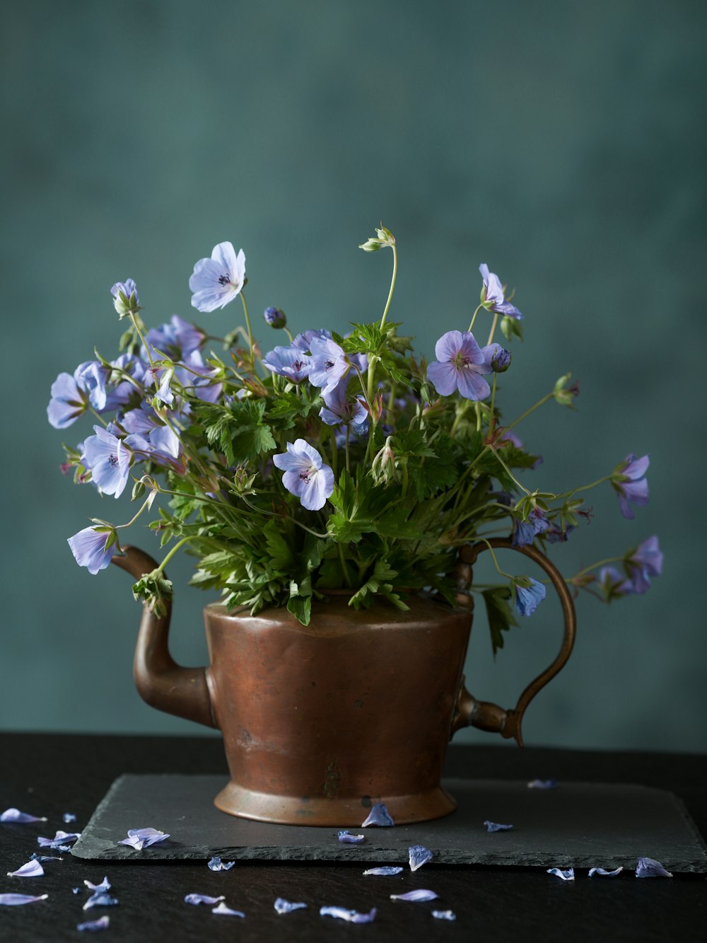 a pot with purple flowers