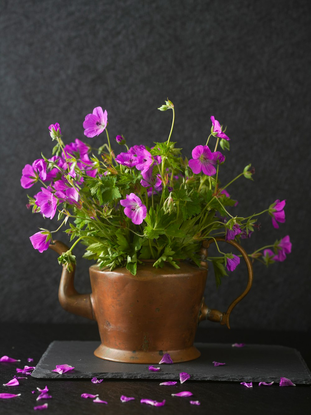 purple flowers in a pot