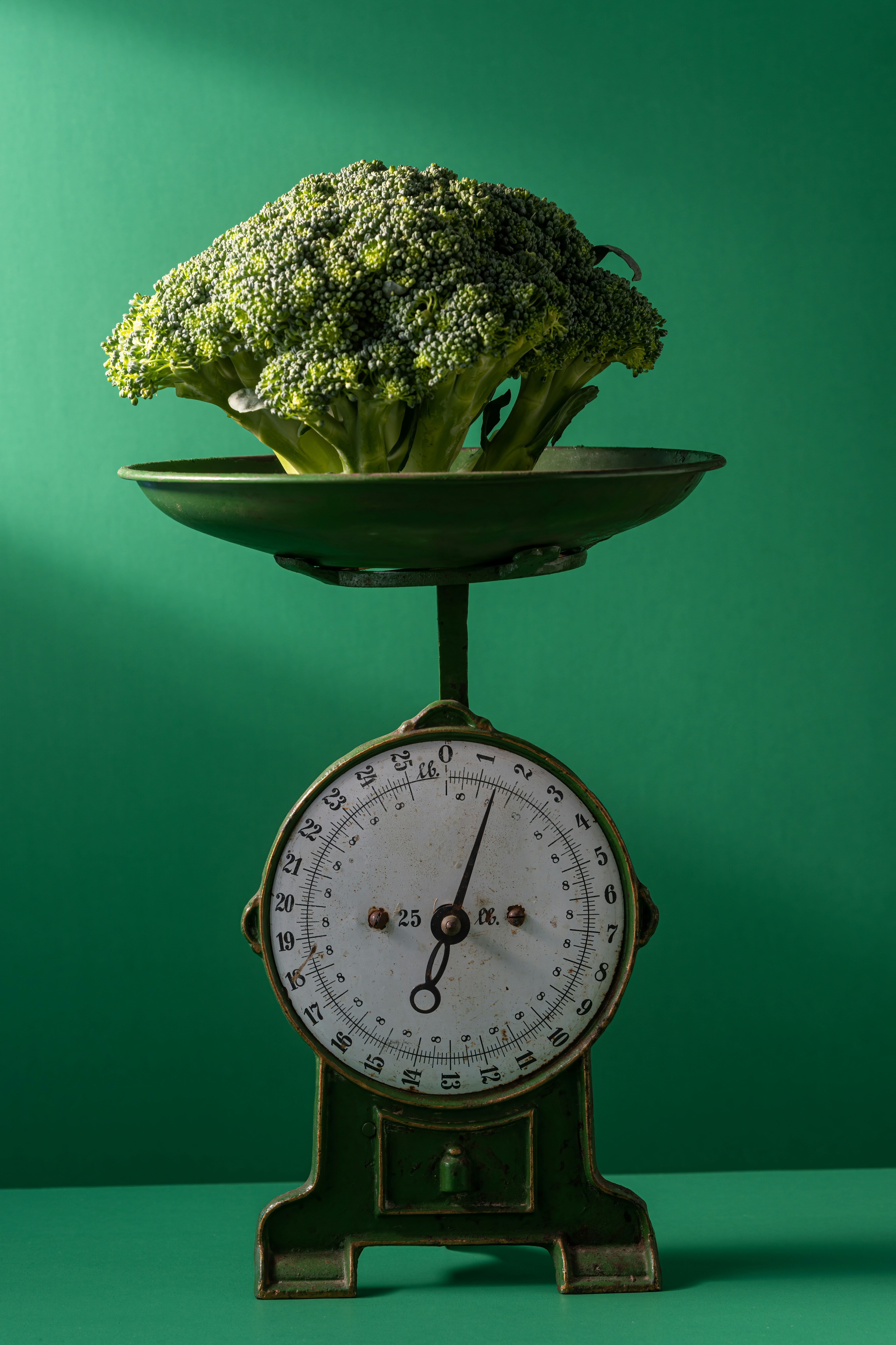 a clock with a plant on top