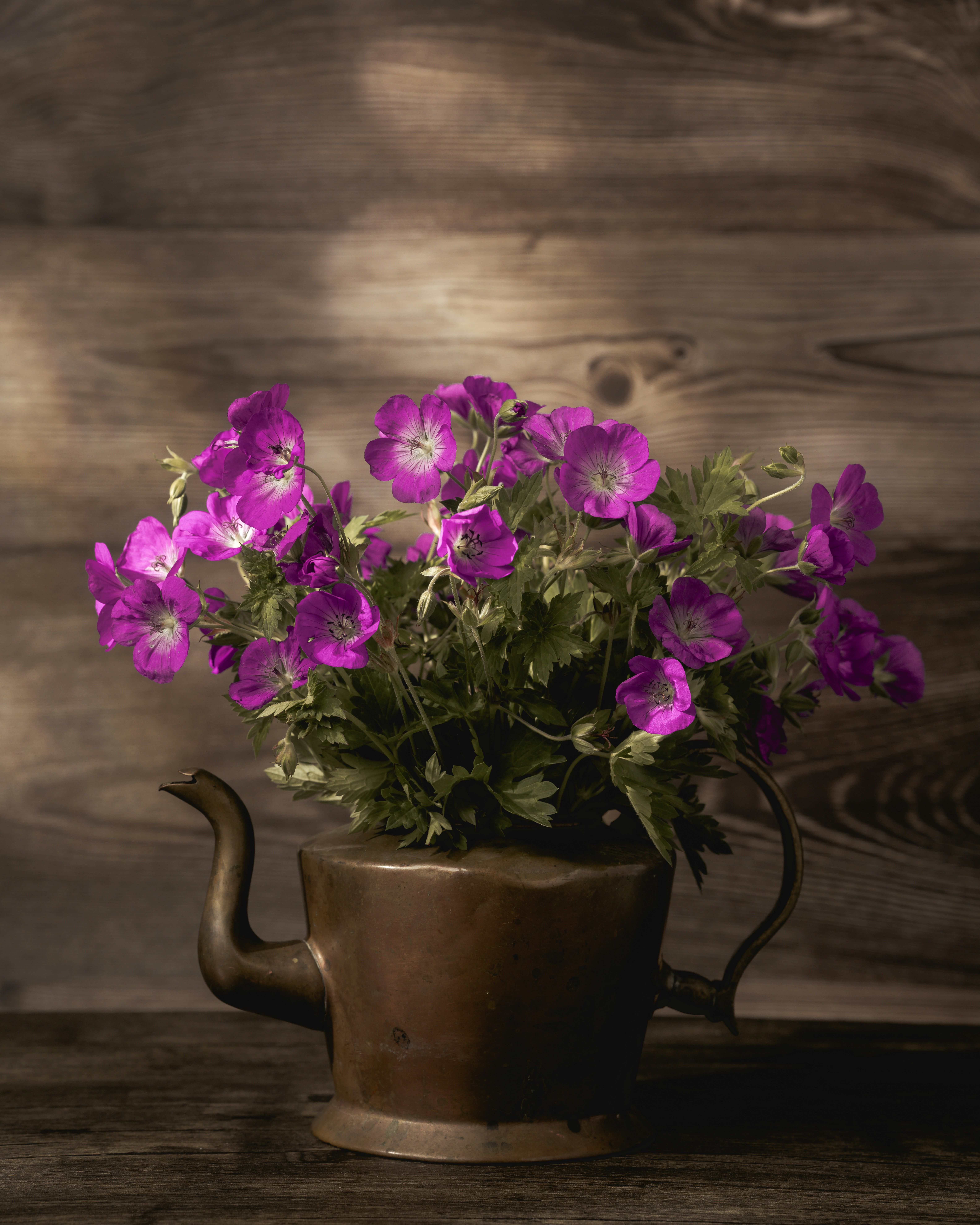 Photo by skylerewing