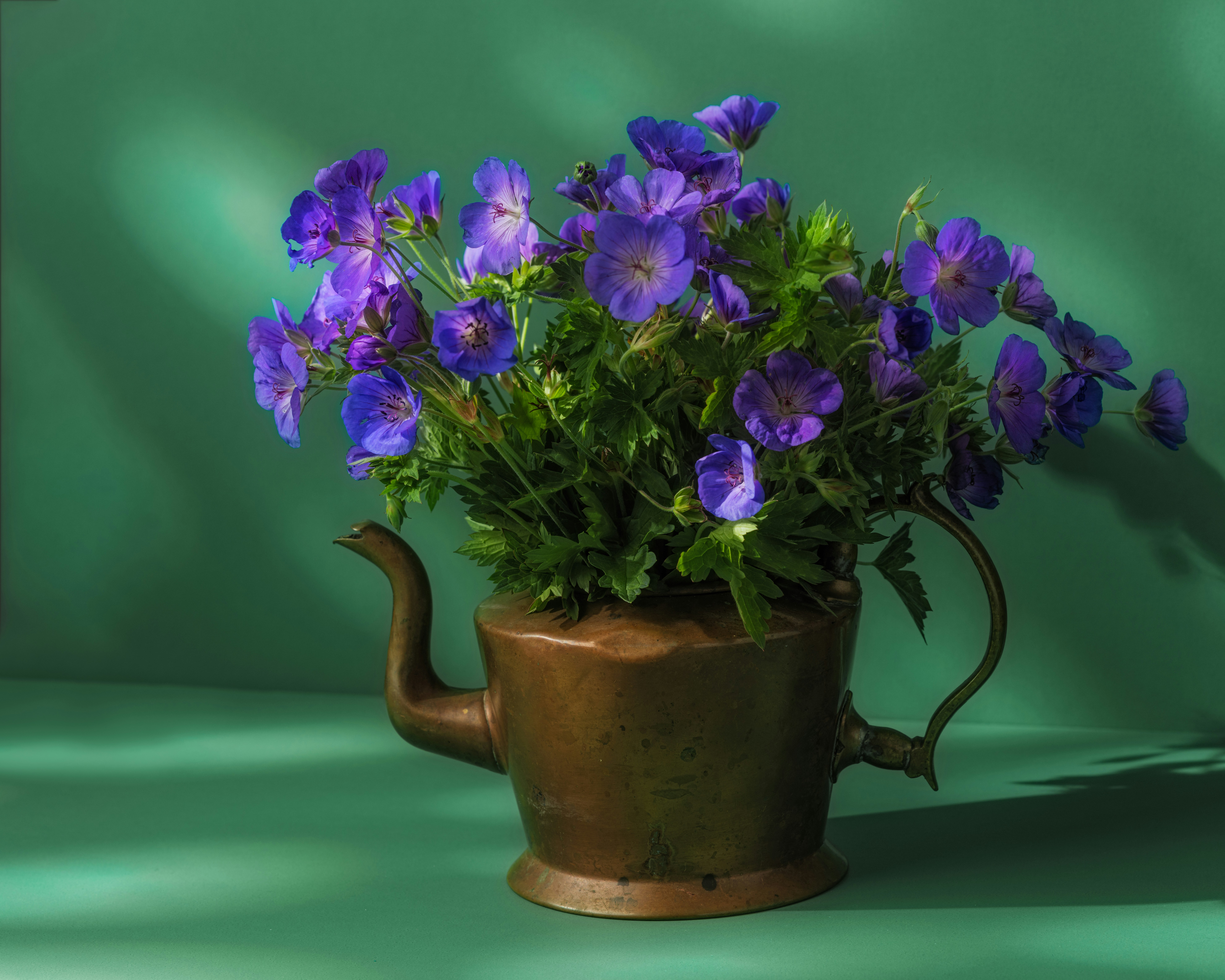 Photo by skylerewing