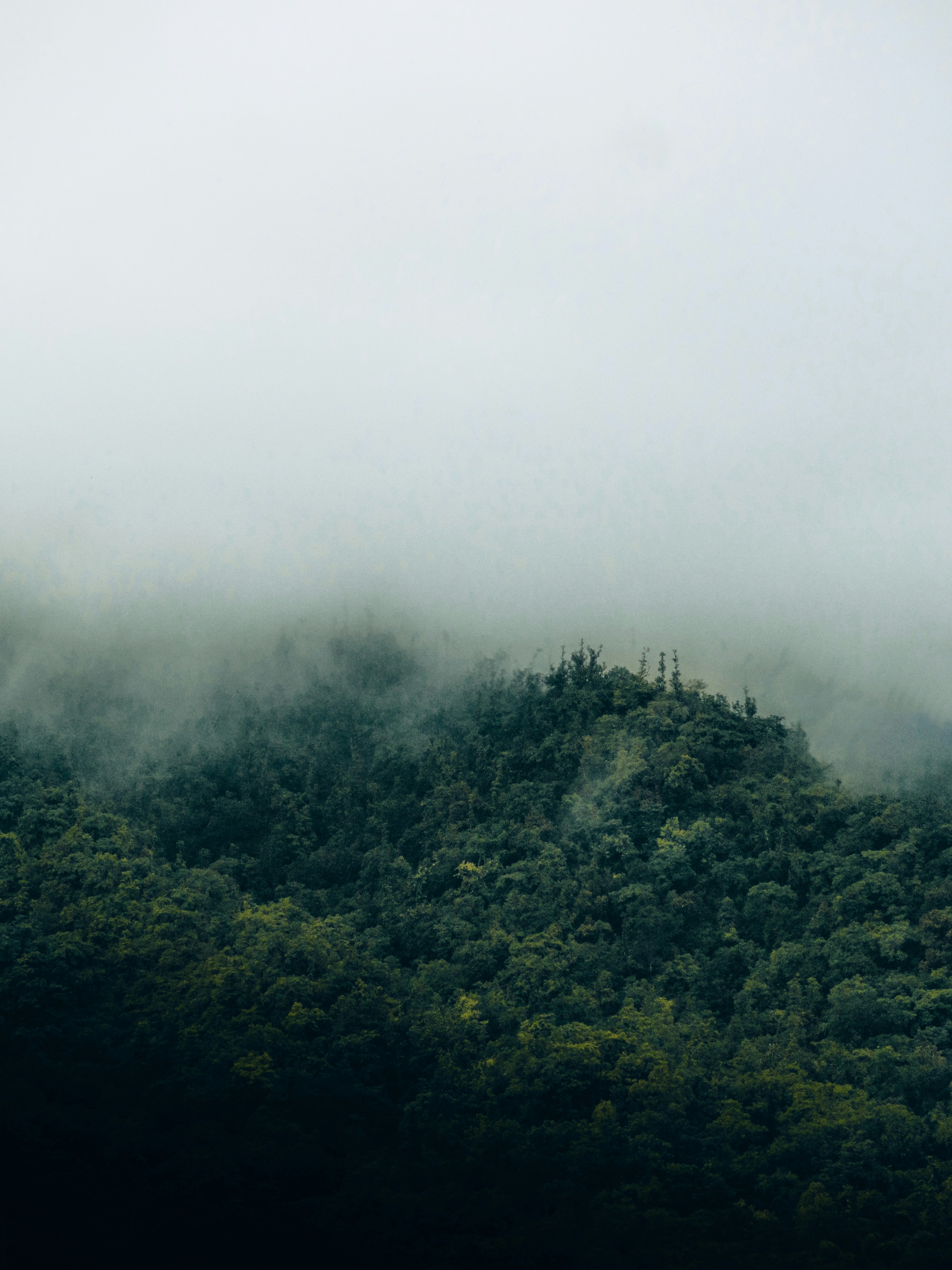 Photo by tilakbaloni