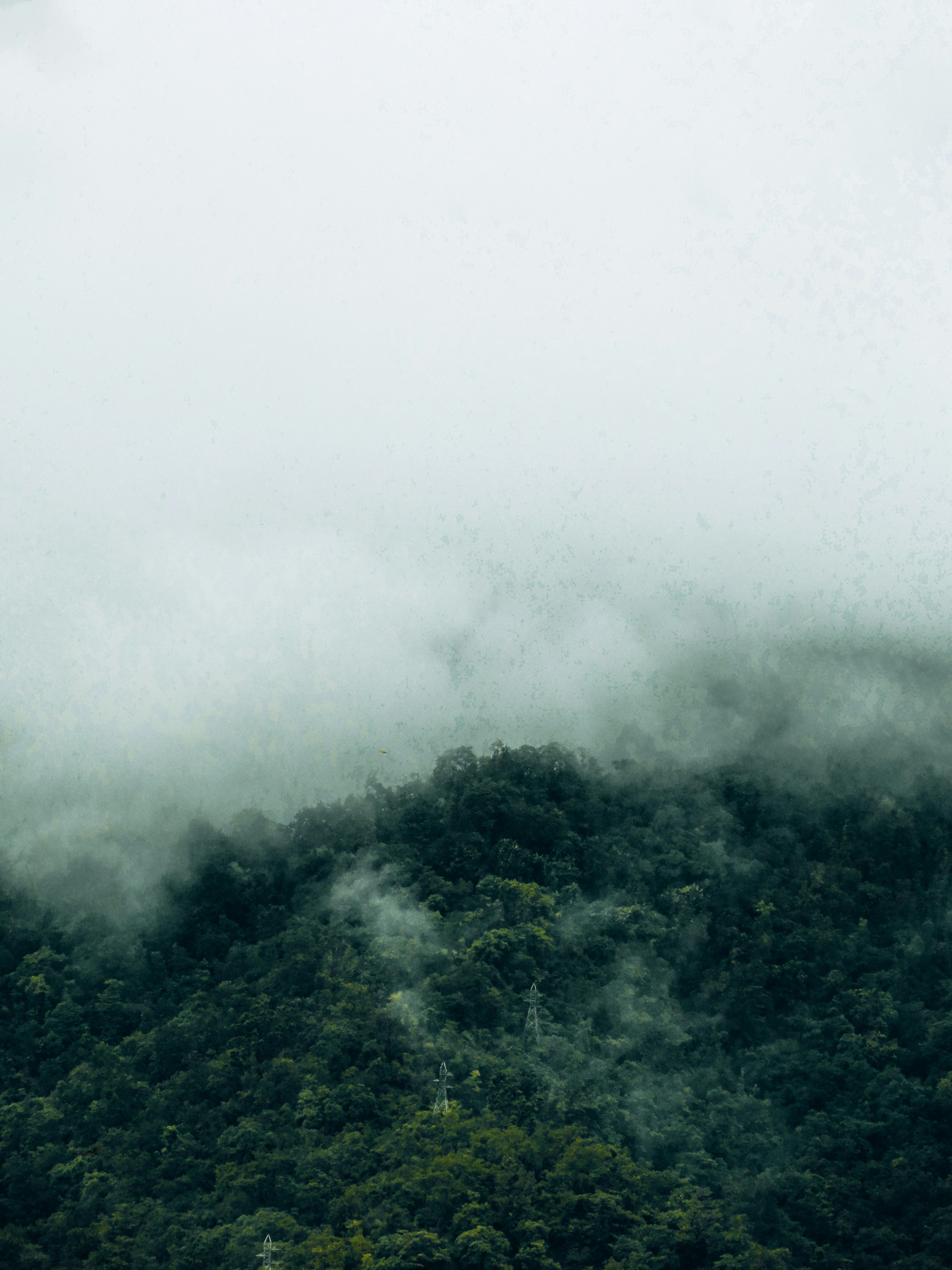 Photo by tilakbaloni