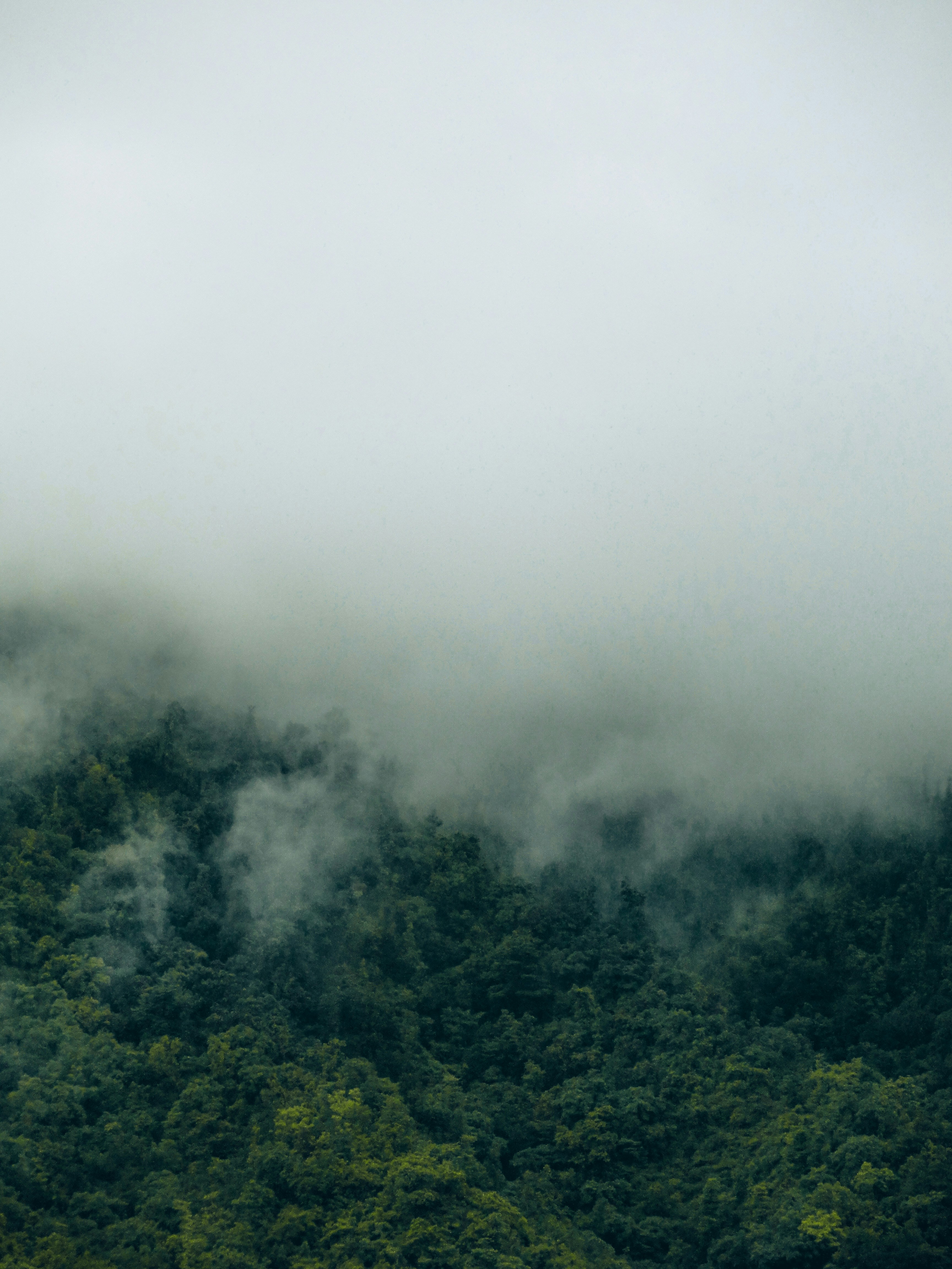 Photo by tilakbaloni