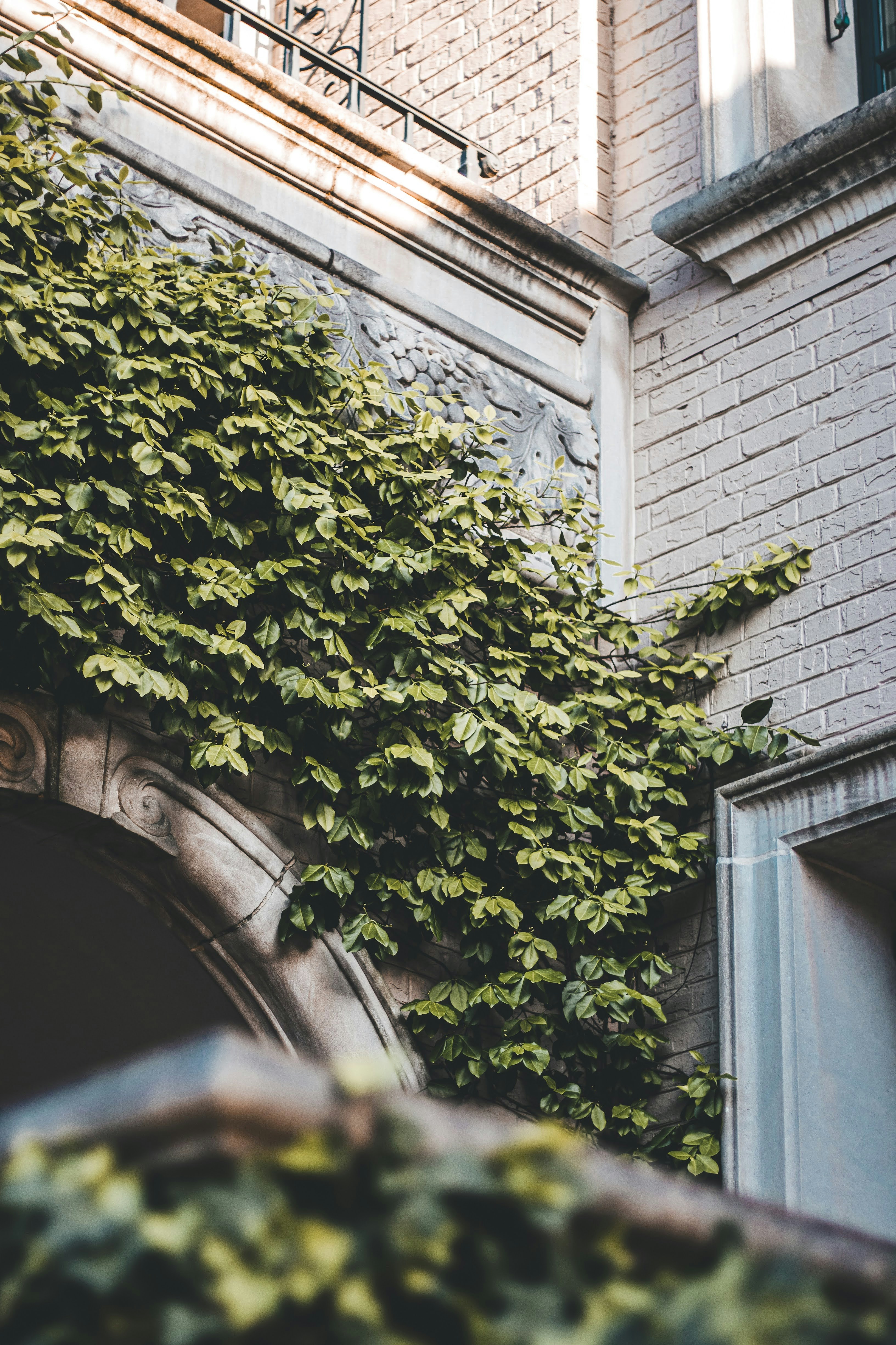 Photo by brice_cooper18