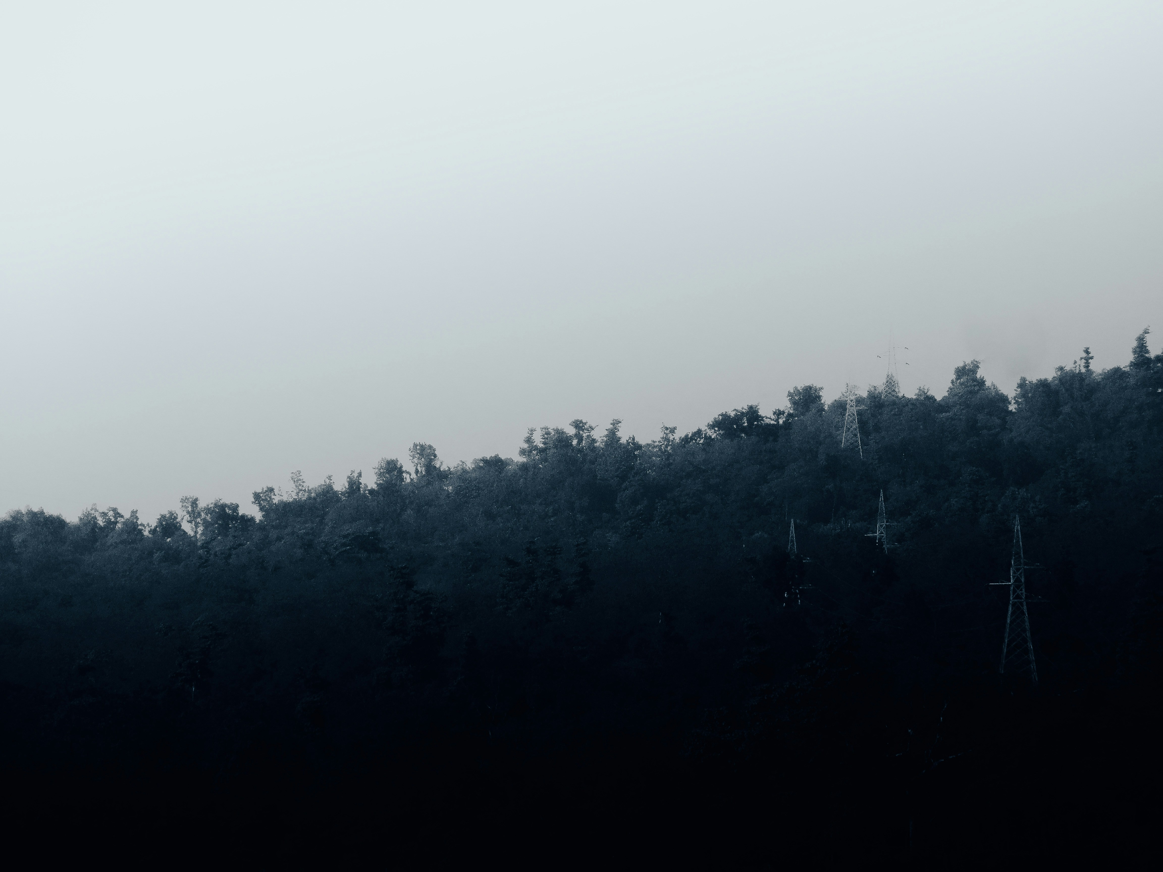 Photo by tilakbaloni