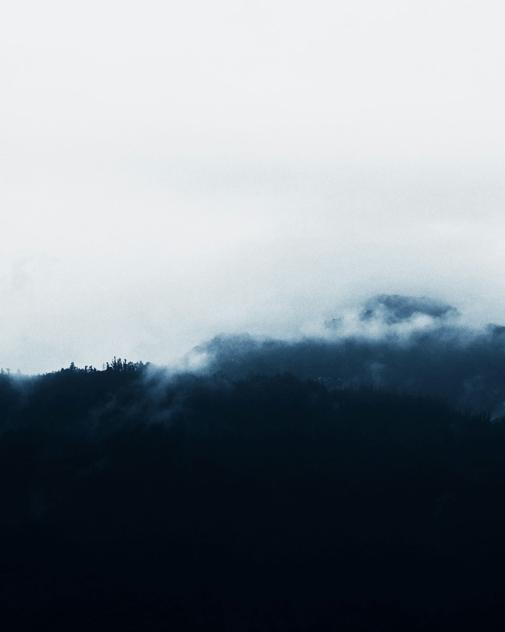 a foggy mountain side