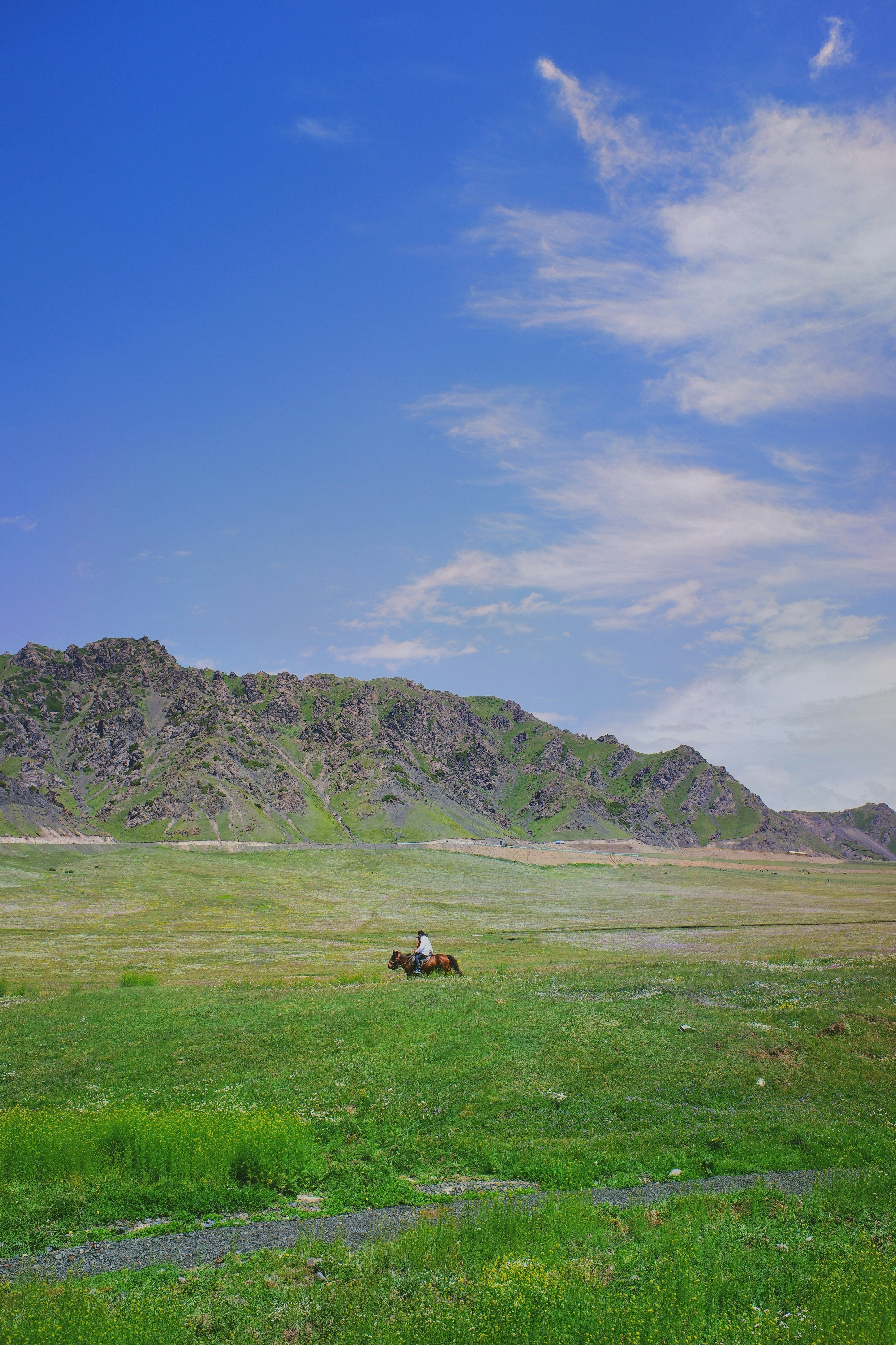 Landscape photograph of a grassy plain with a distant rider on horseback, set against craggy mountains and a bright blue sky.