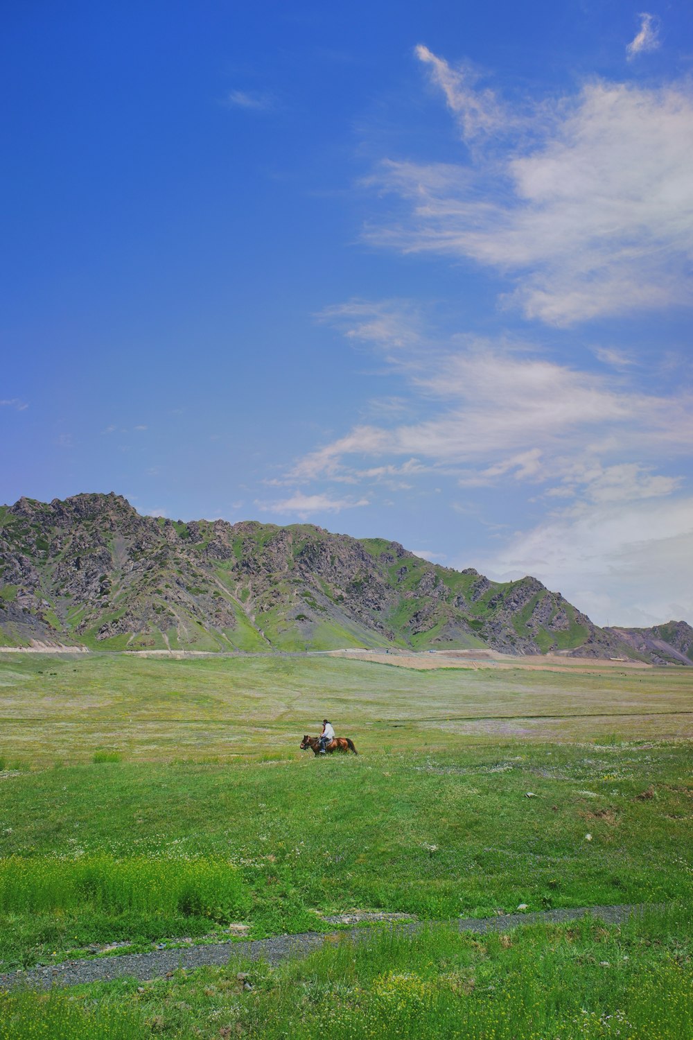 a person riding a horse in a field