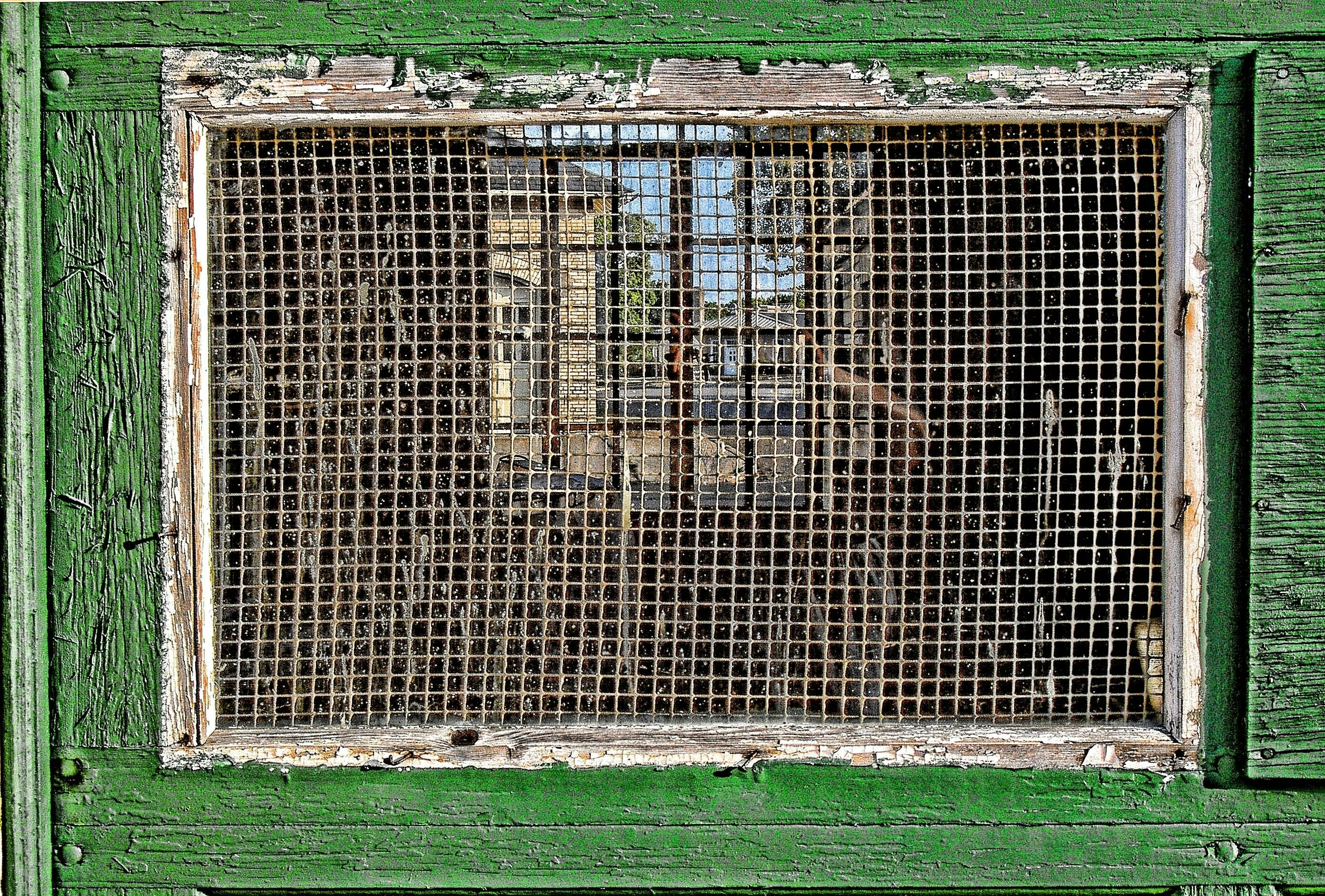 Poorly constructed chicken coop with gaps in structure