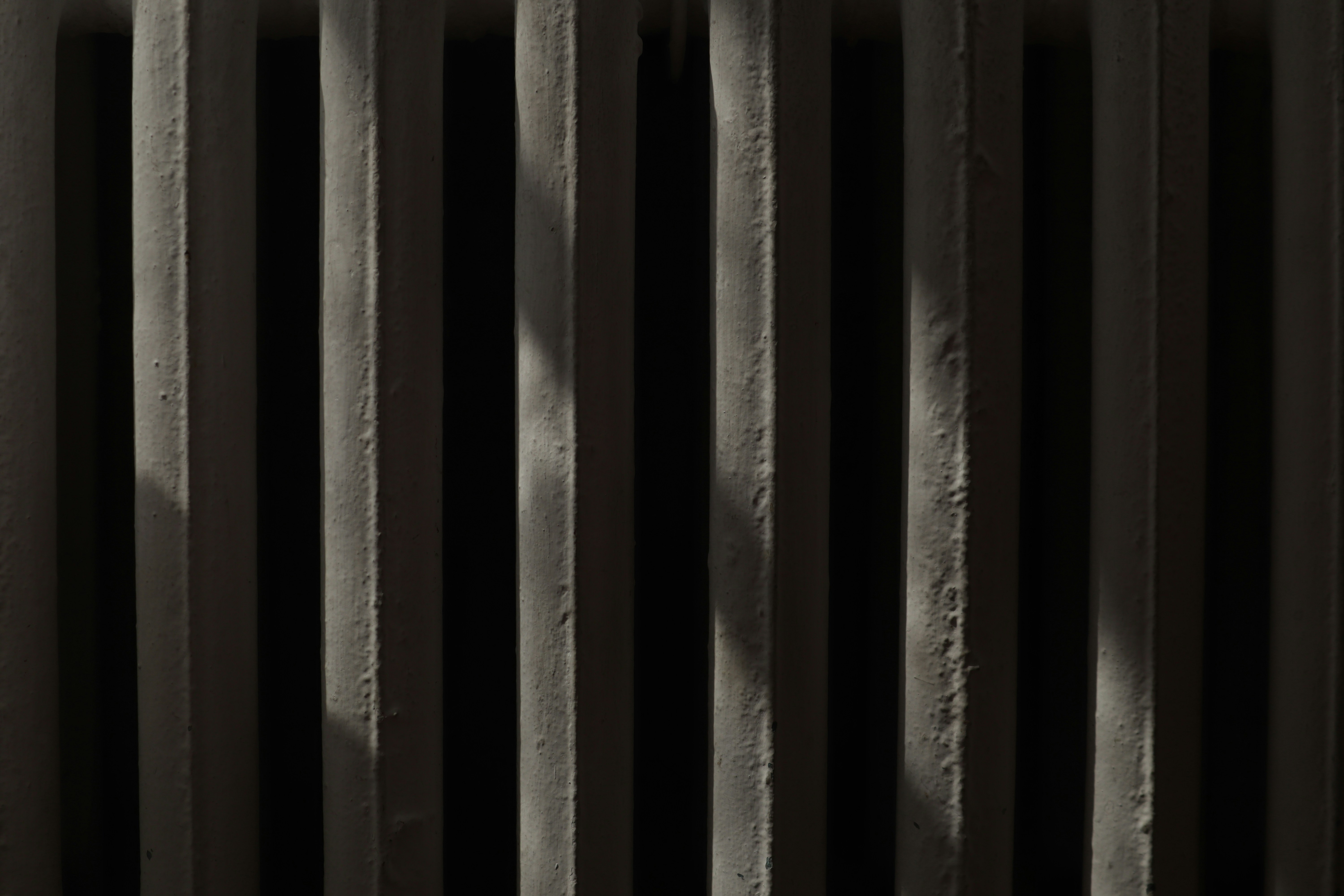 Photo by timesnewroman14