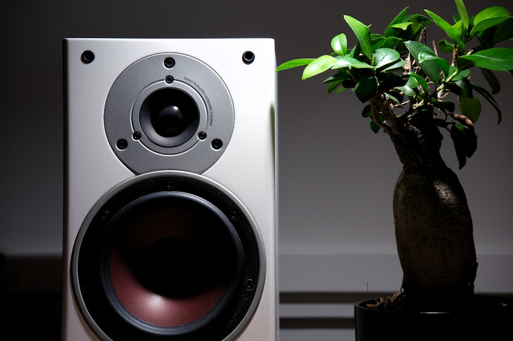 a speaker next to a plant