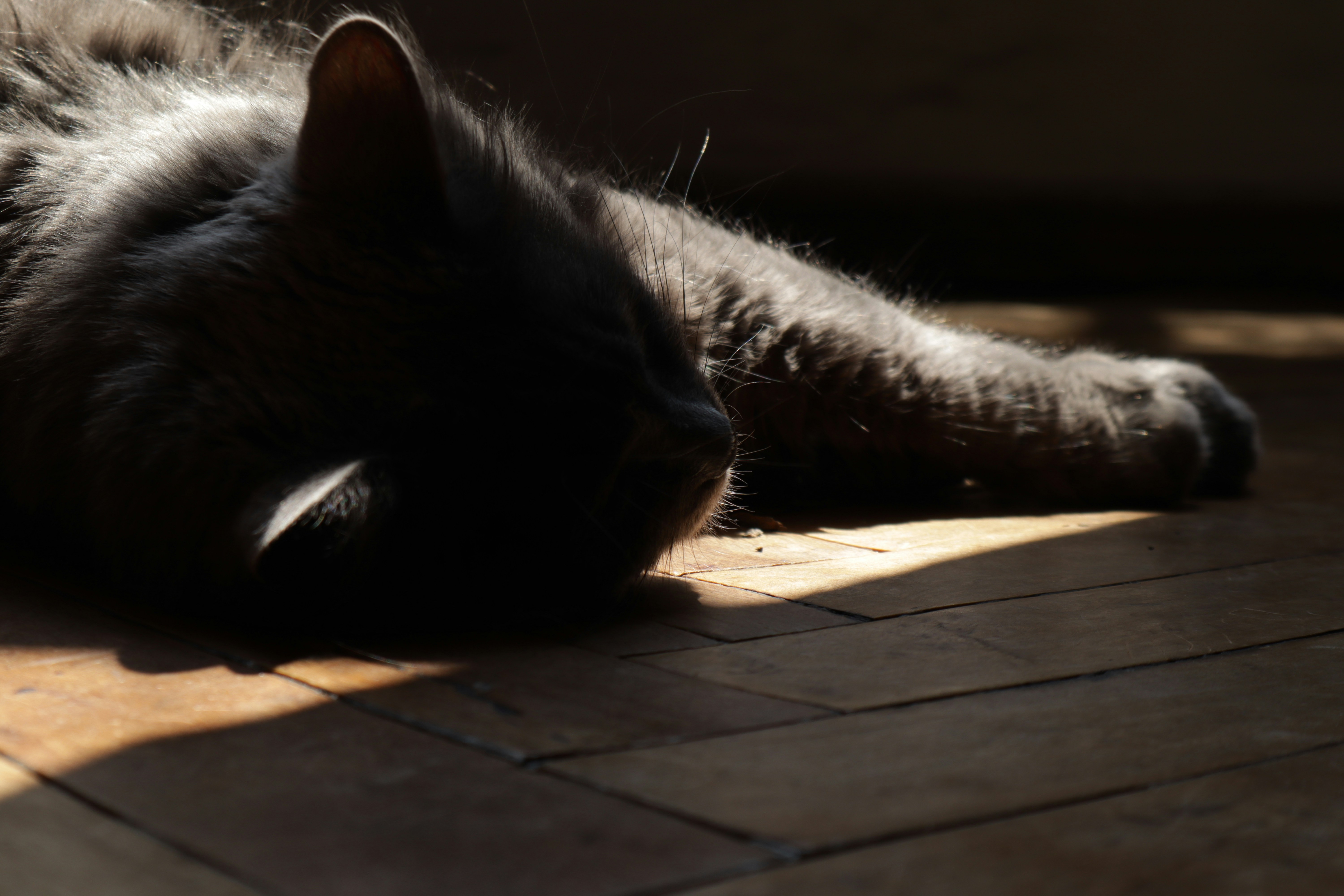 Photo by timesnewroman14