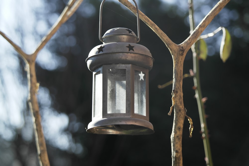 a light from a tree