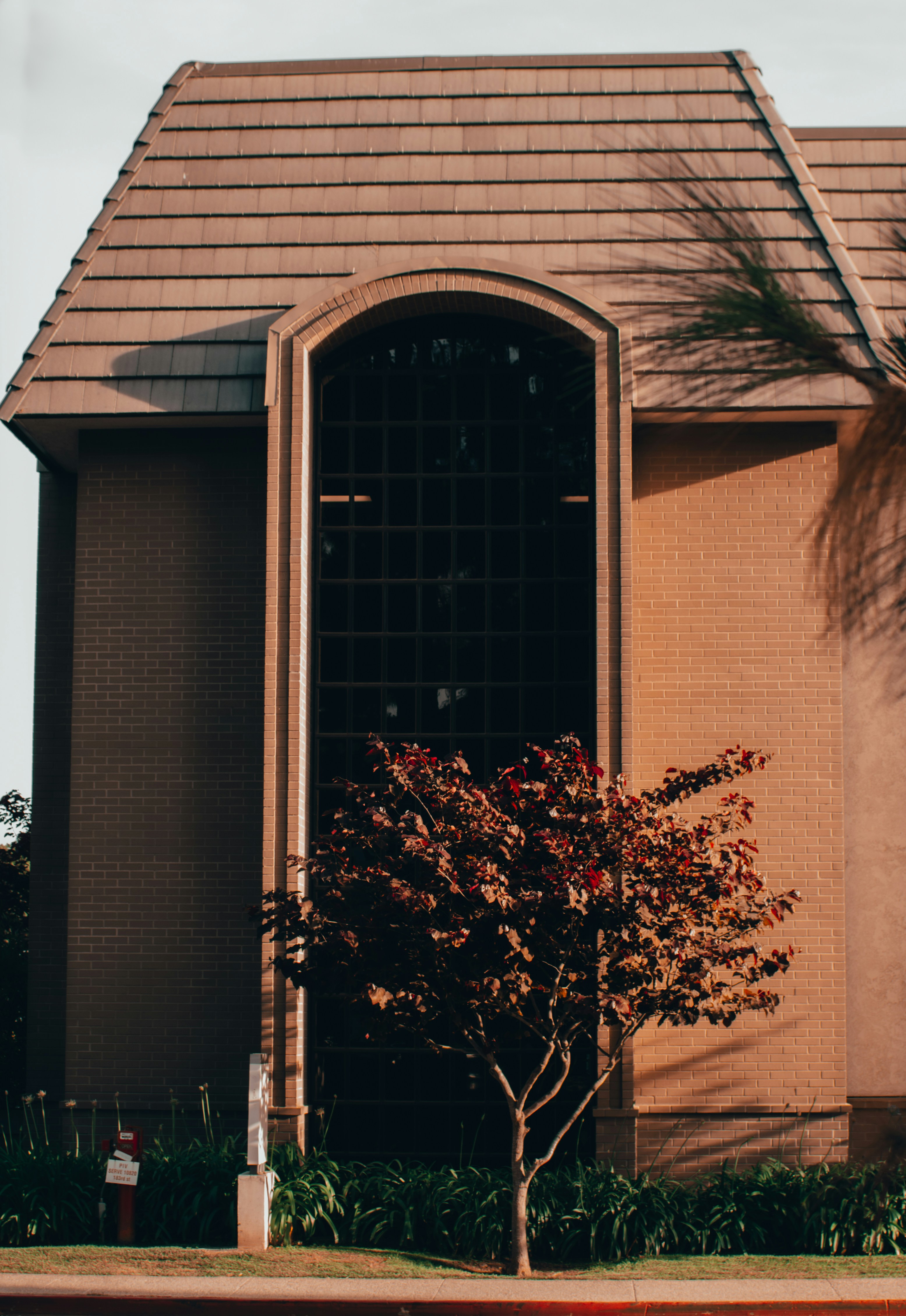 Photo by kingkonggeorge