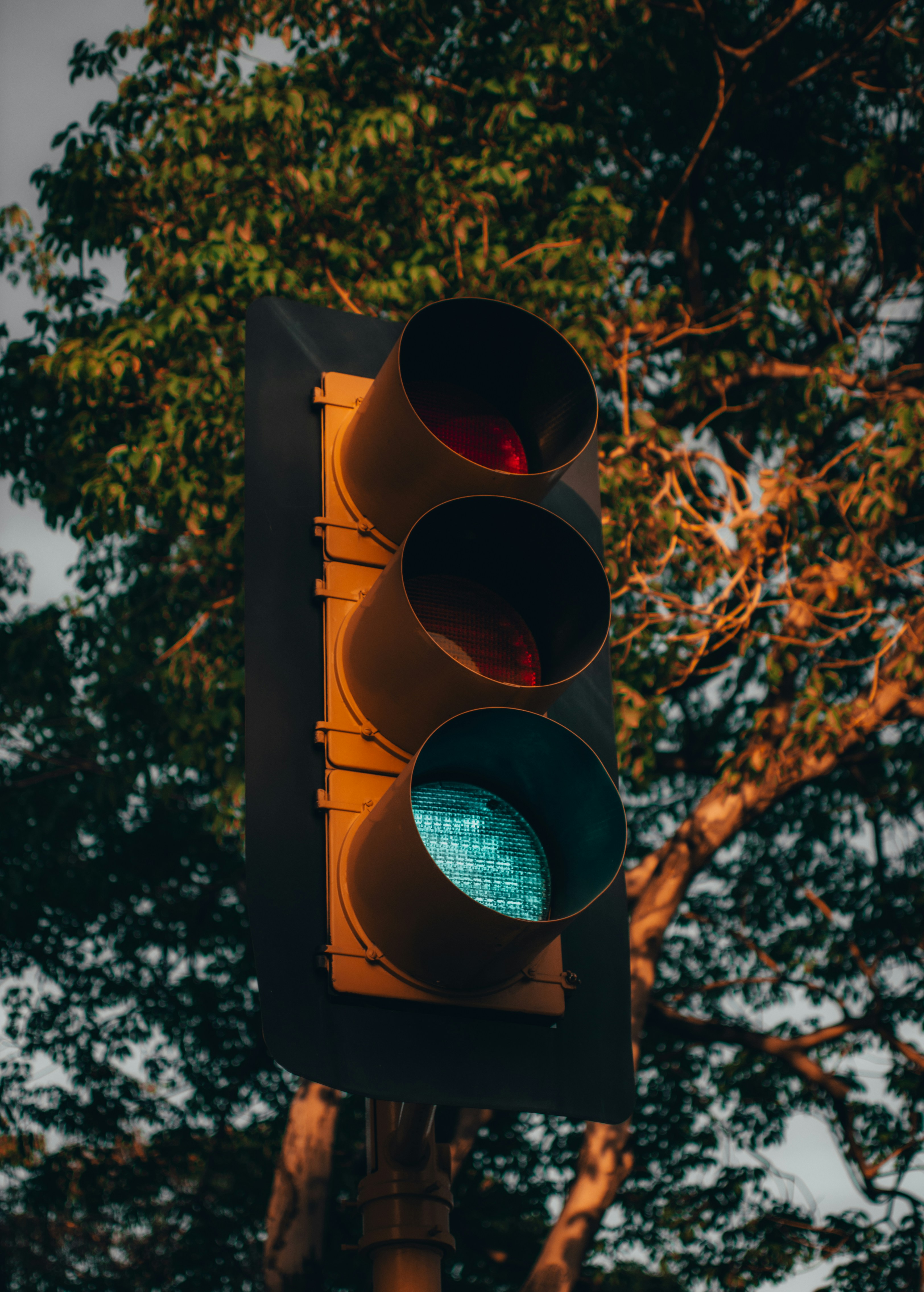 Photo by kingkonggeorge