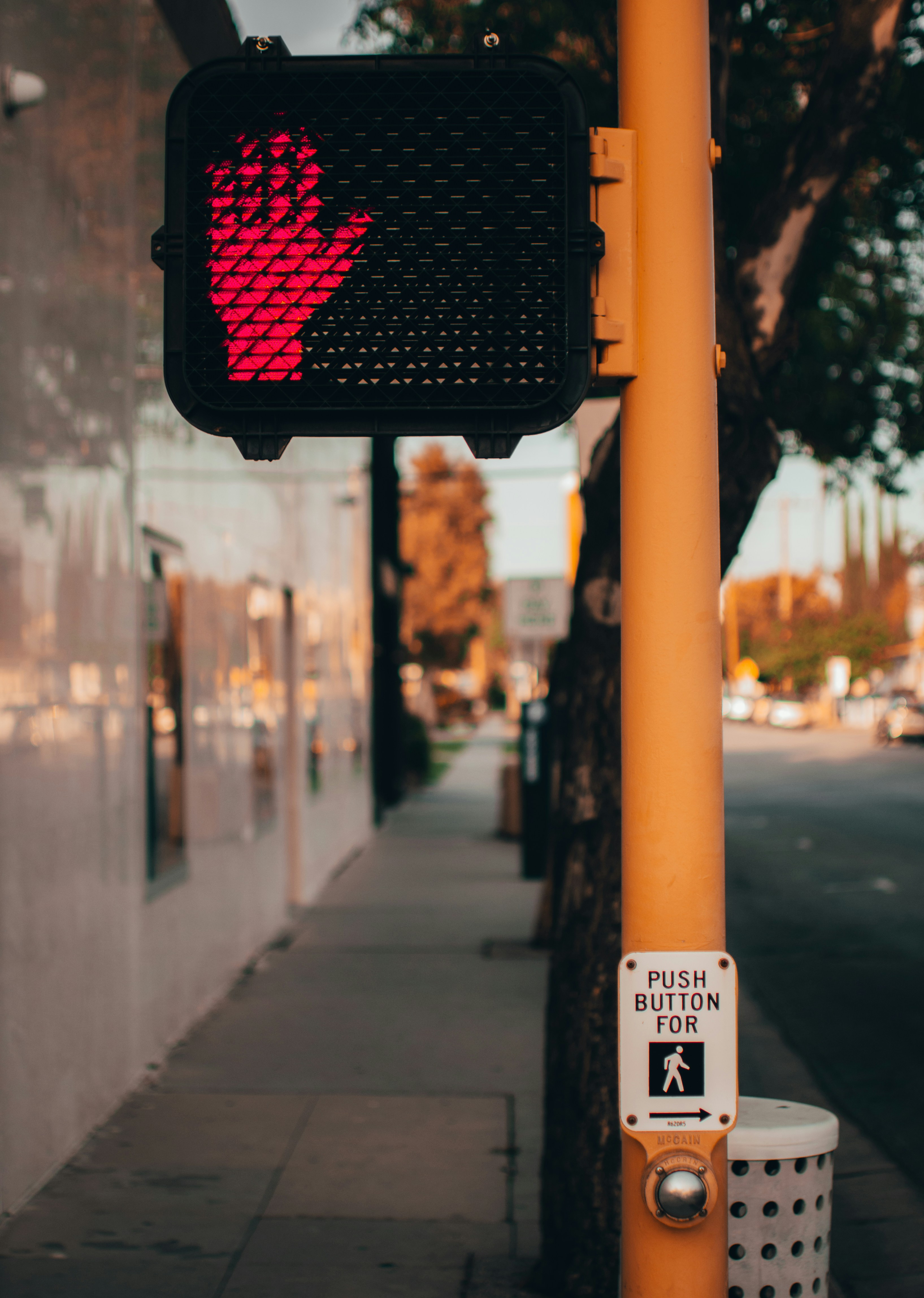 Photo by kingkonggeorge