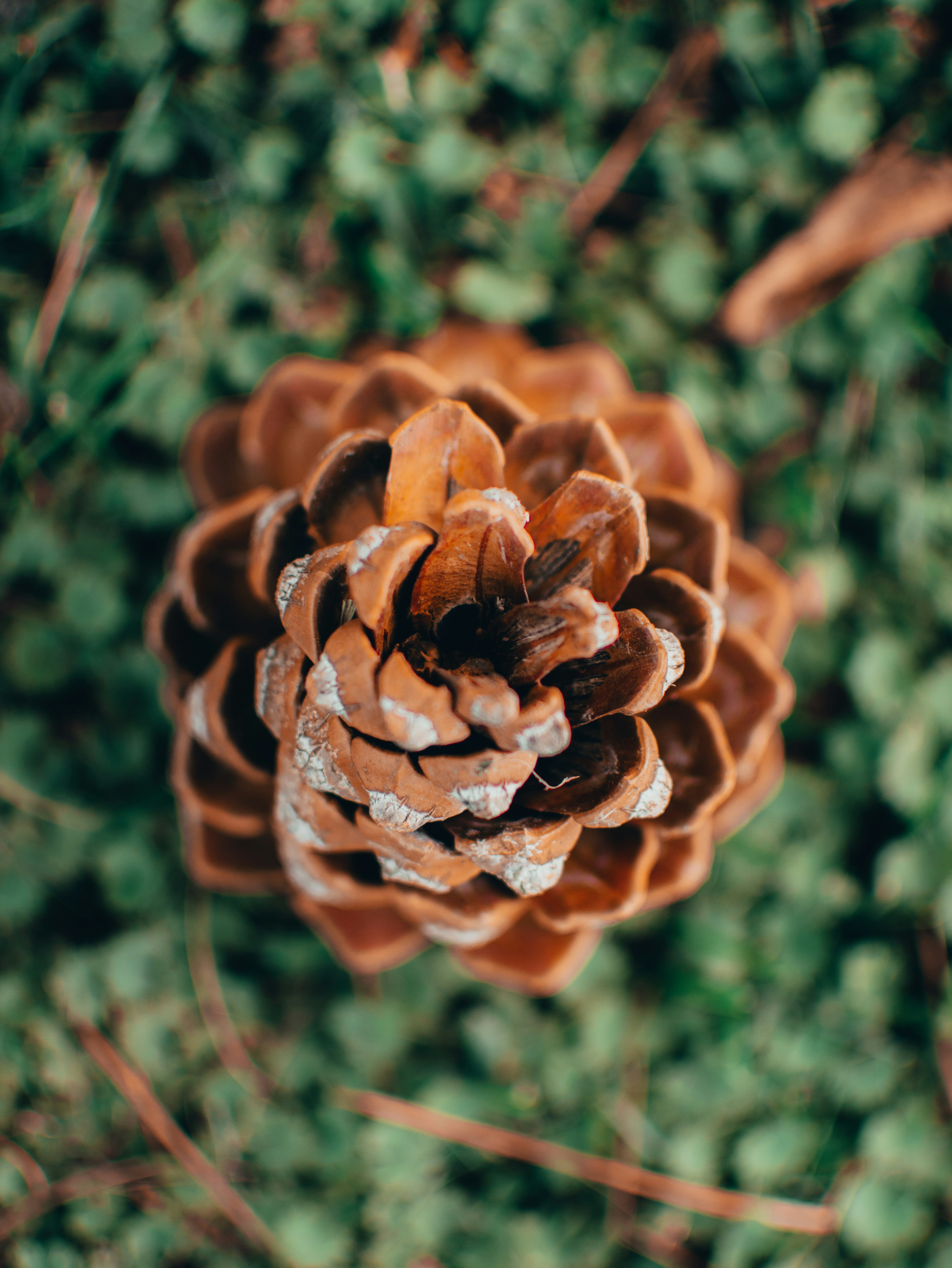 Photo by kingkonggeorge